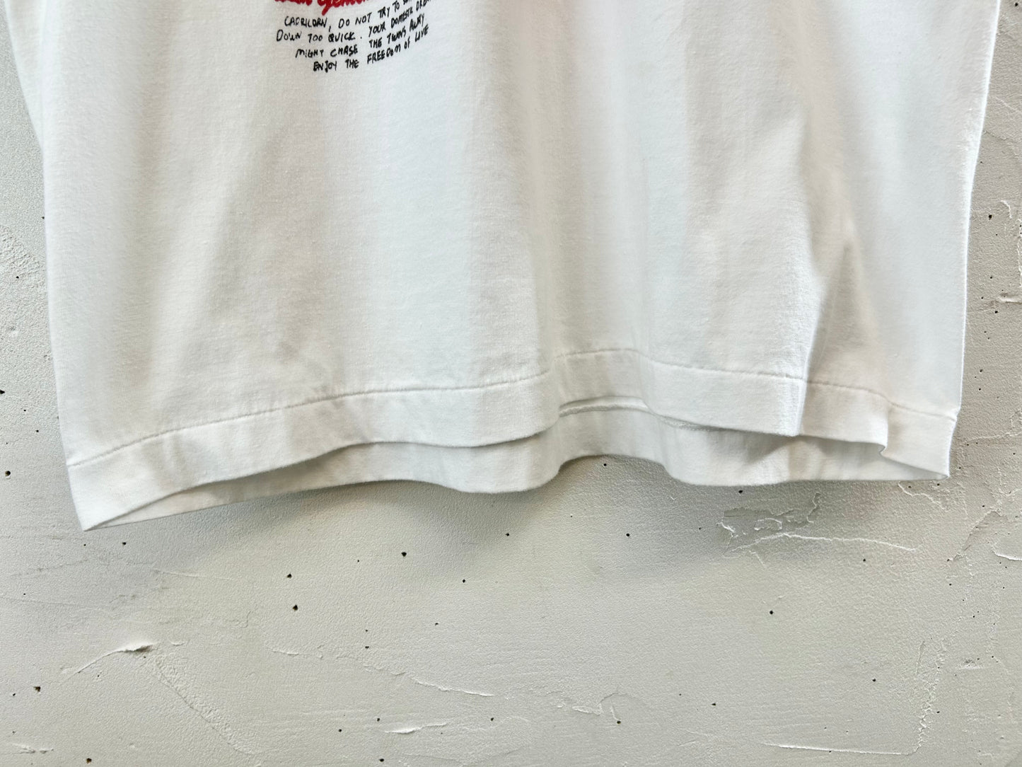 Vintage T-Shirt [G30809]