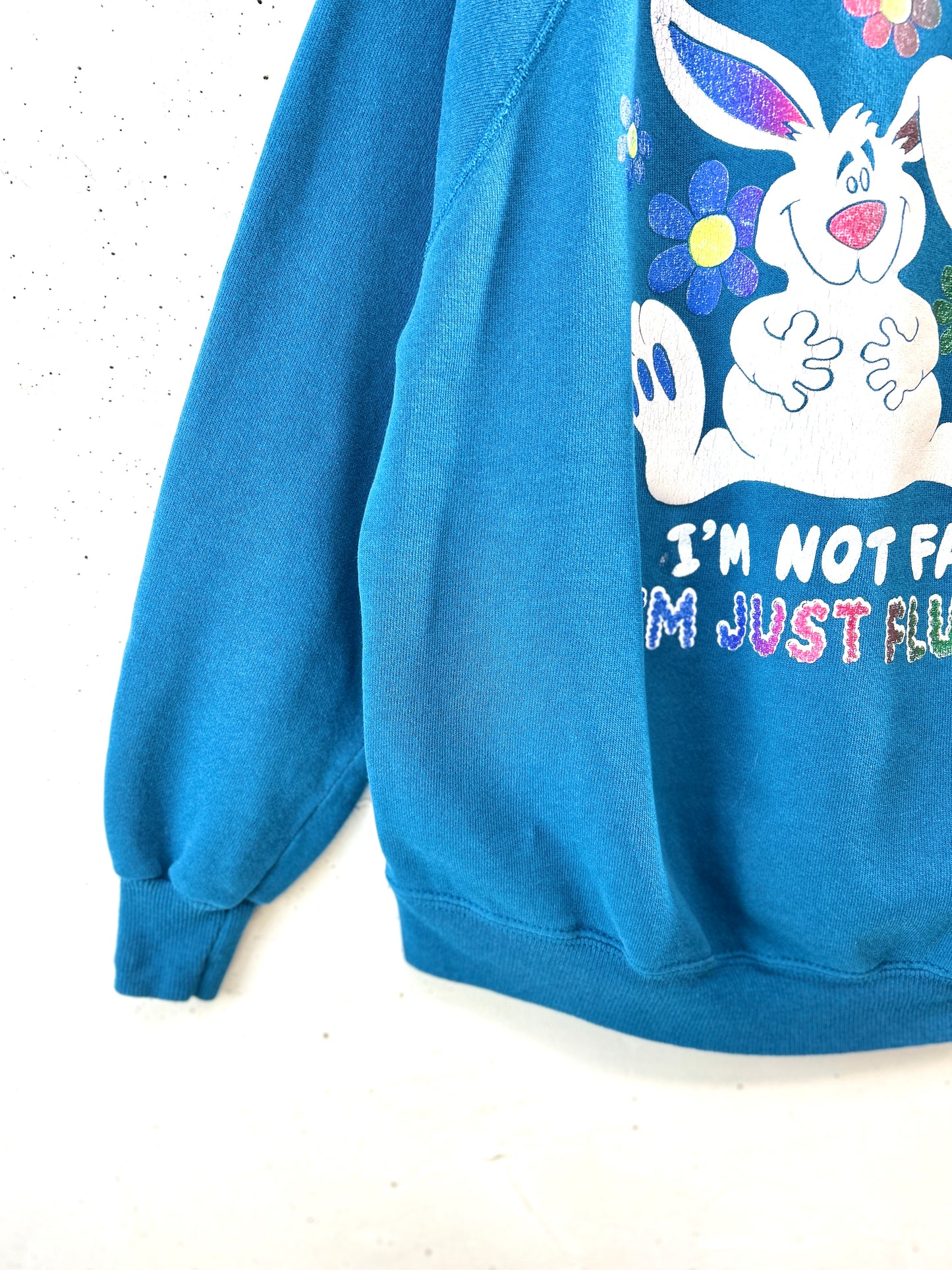 Vintage Sweat MADE IN USA [K30738]