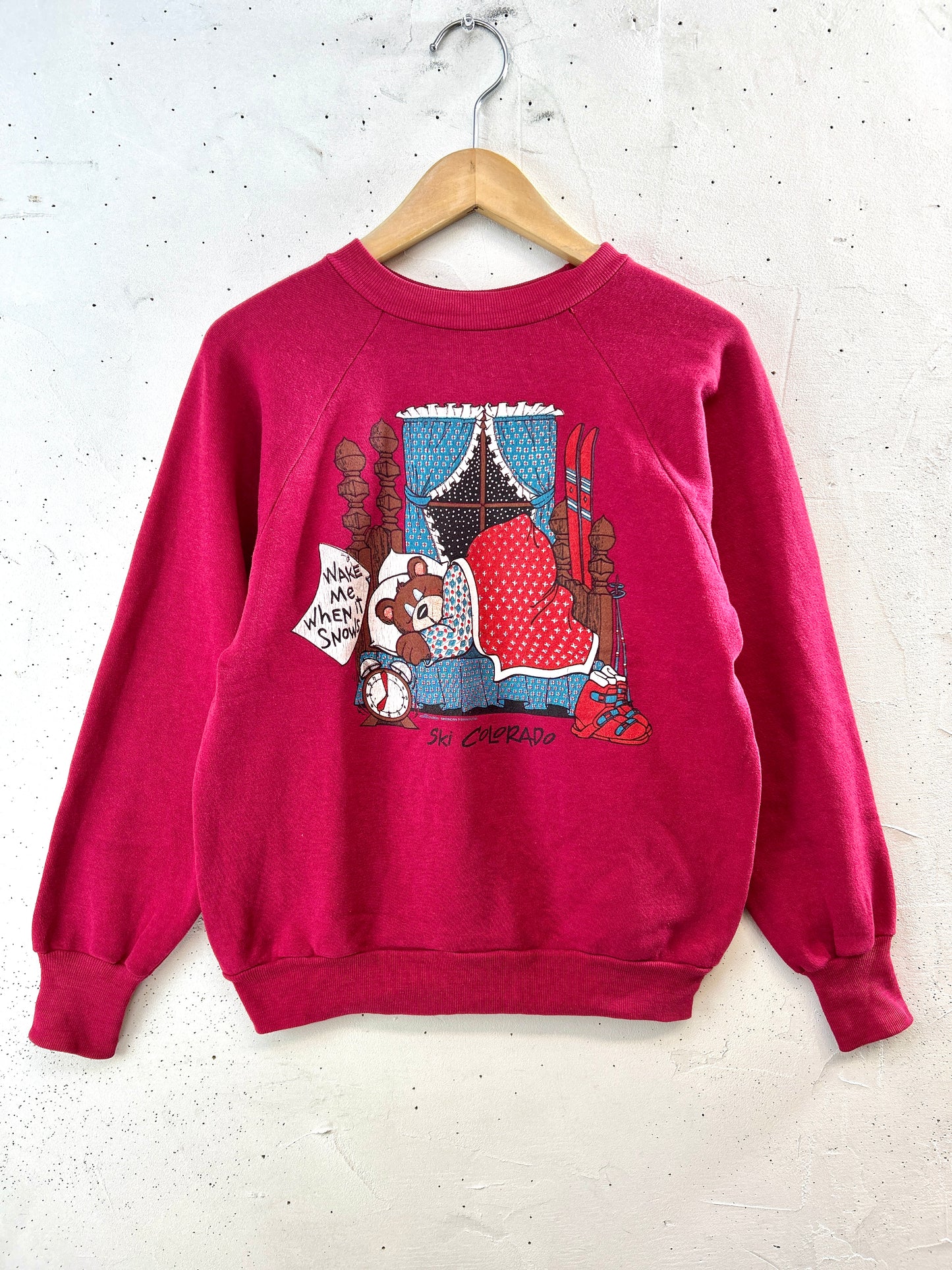 Vintage  Sweat 〜Healthknll〜 MADE IN USA [K30918]