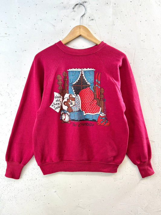 Vintage  Sweat 〜Healthknll〜 MADE IN USA [K30918]