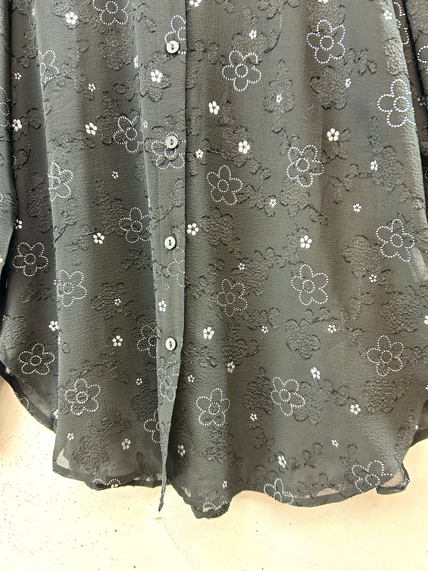 Vintage Sheer Blouse [J30511]