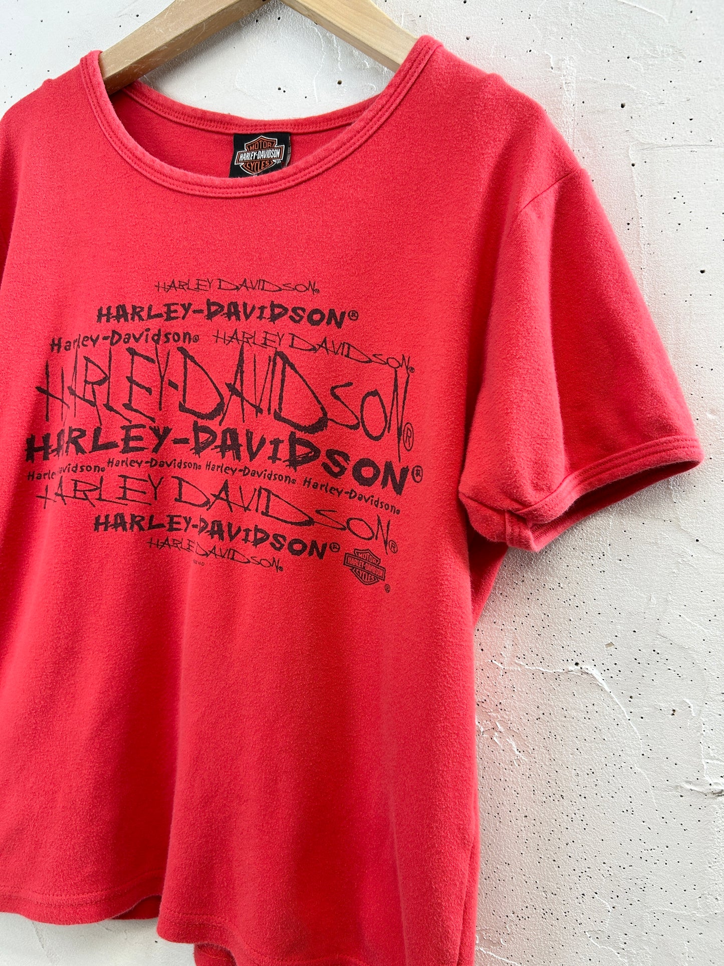 Vintage T-Shirt 〜Harley Davidson〜 [F32588]