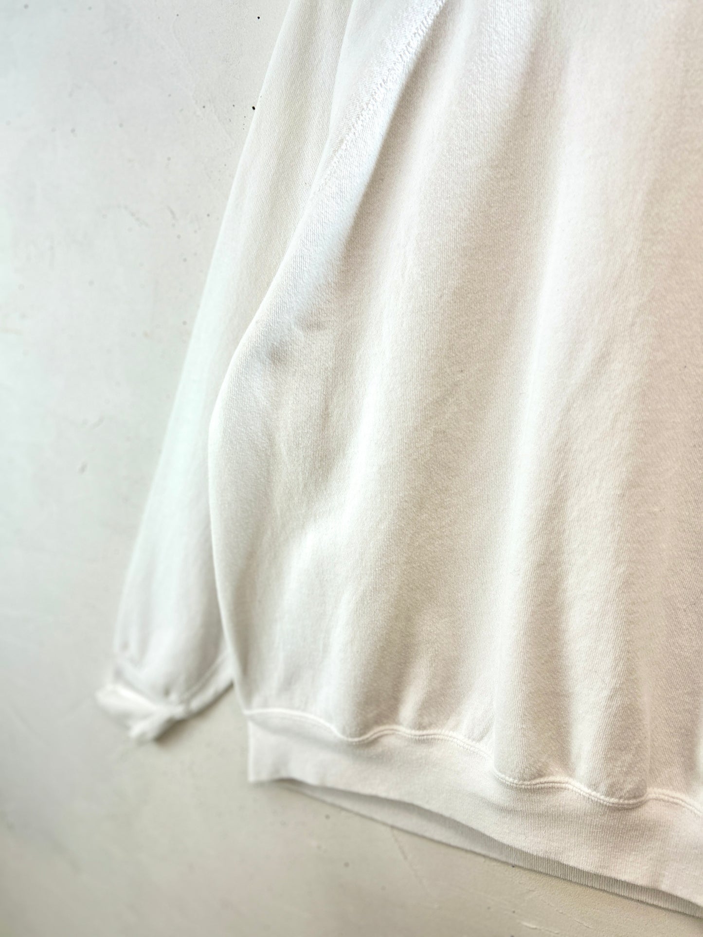 Vintage Hand Painted Sweat 〜Tultex〜 MADE IN USA [K30903]
