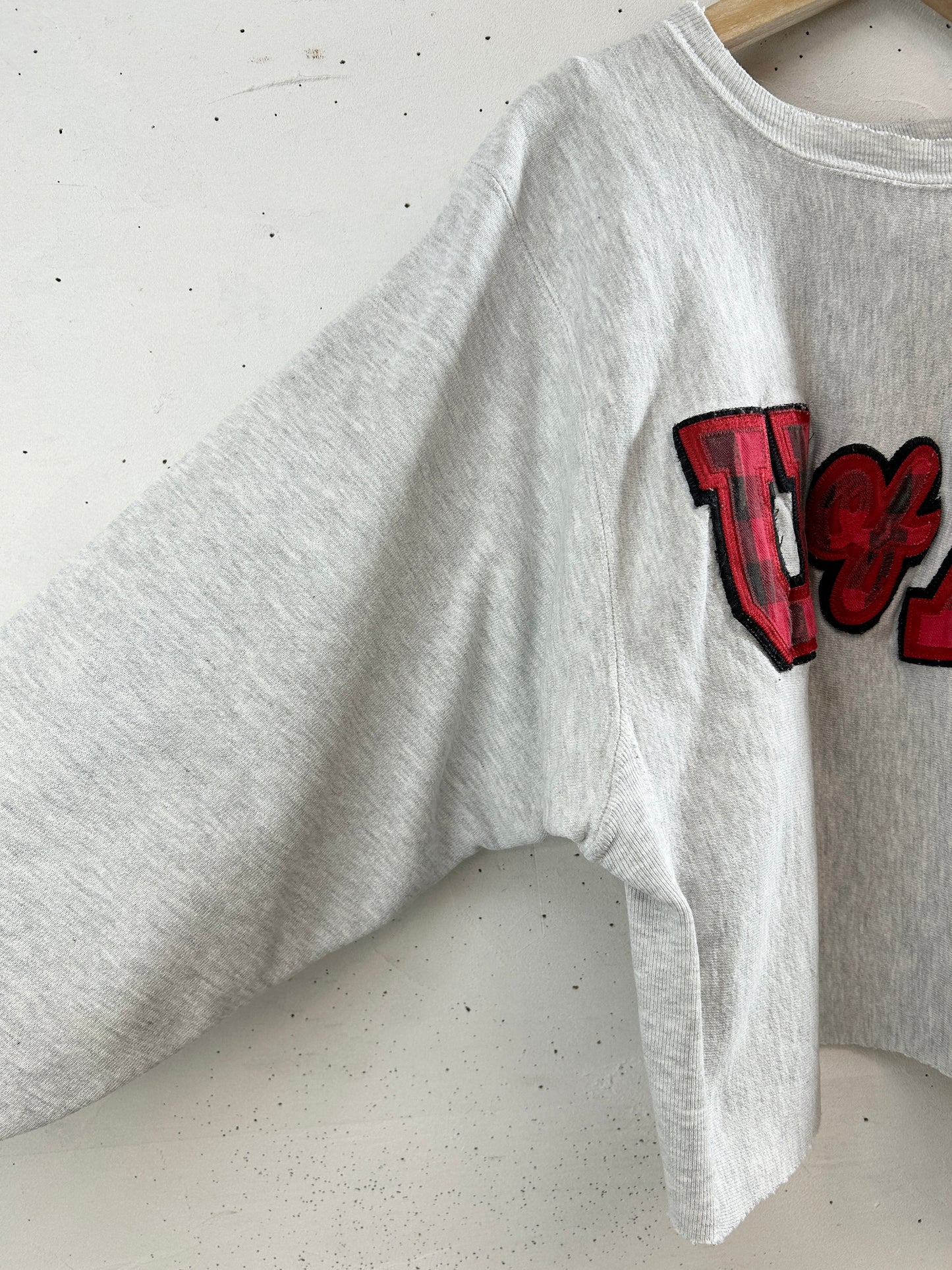 Vintage Sweat '90s Champion Reverseweave [L30987]
