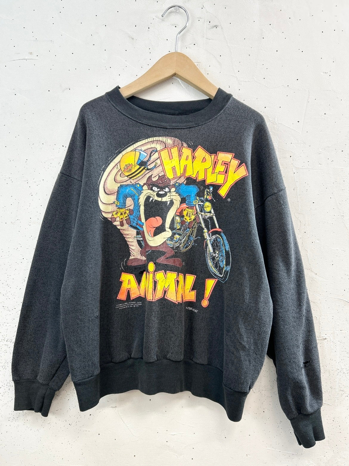 Vintage Sweat 〜Harley Davidson×Looney Tunes〜 [D32037]