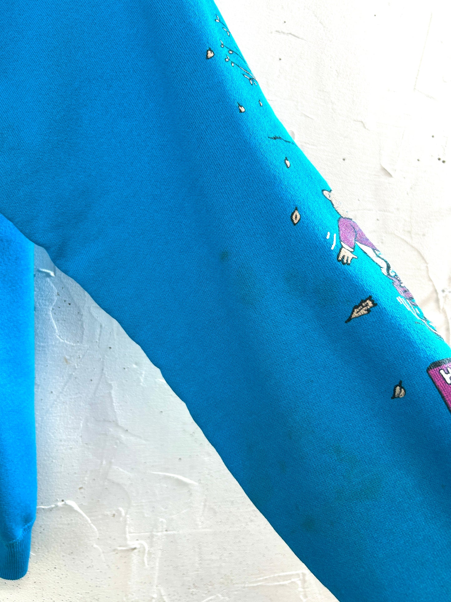 Vintage Sweat ~Hanes~ MADE IN USA  [A31400]