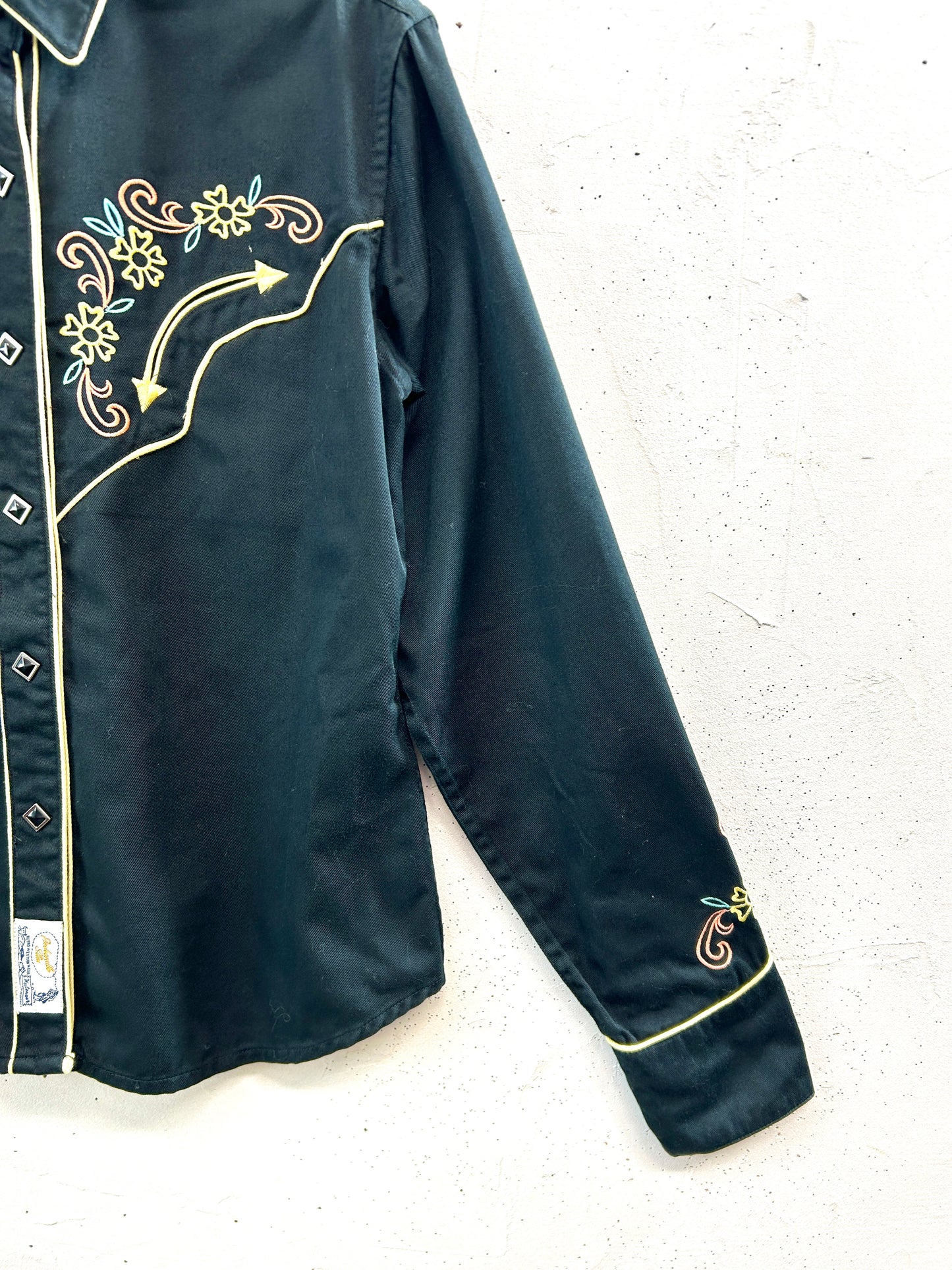 Vintage Western Shirt 〜Parkandle Slim〜 [B31665]