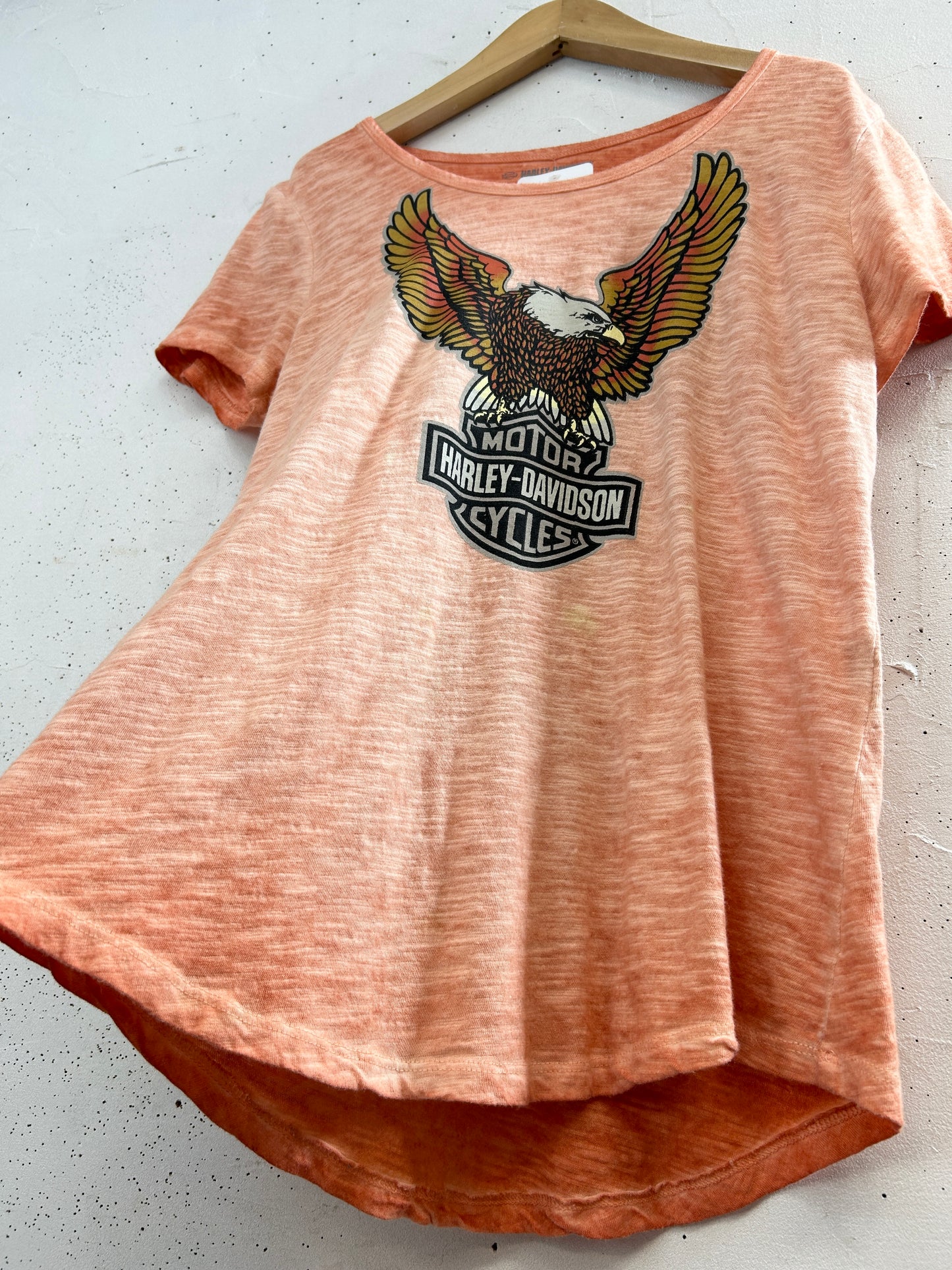 Vintage T-Shirt 〜Harley Davidson〜 [H33522]