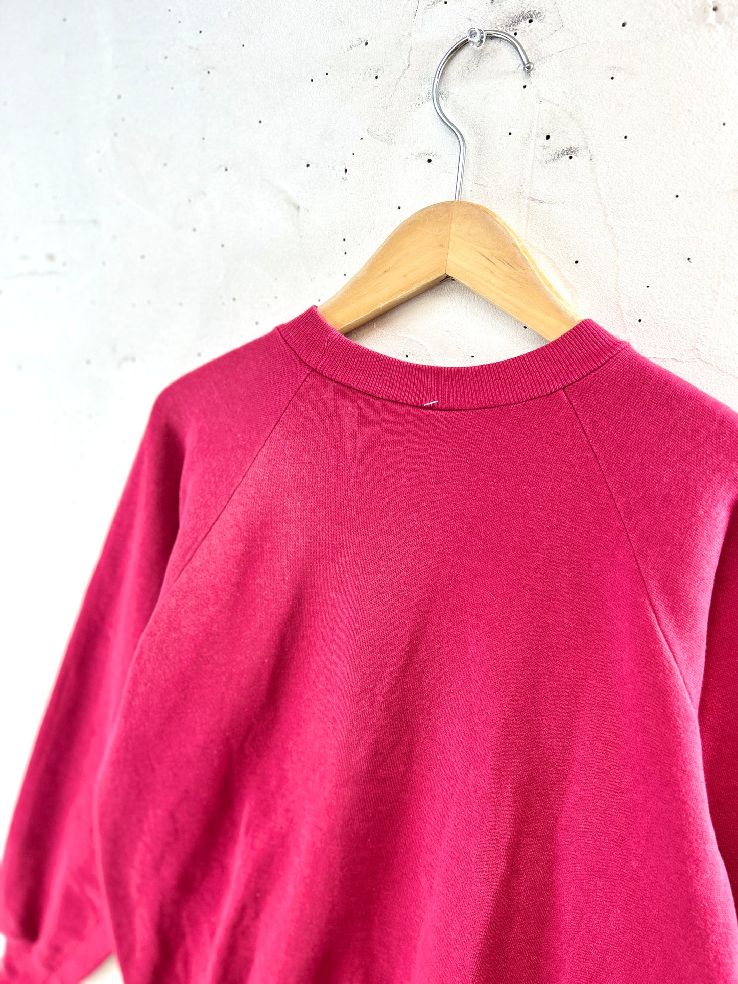 Vintage  Sweat 〜Healthknll〜 MADE IN USA [K30918]