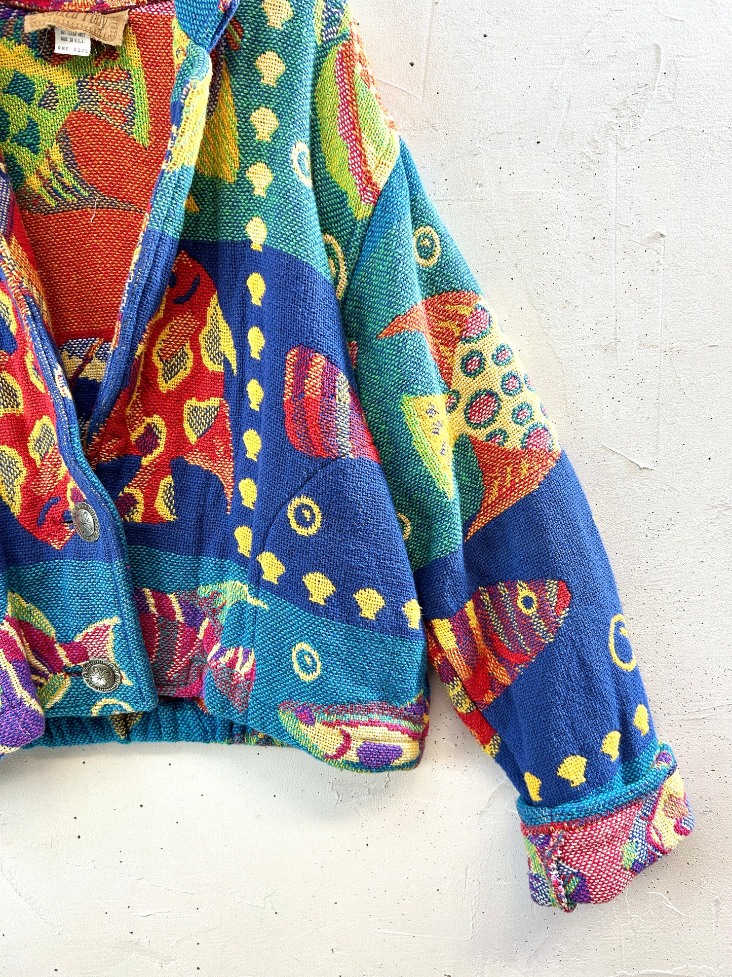 Vintage Rug Jacket 〜Painted Pony〜[K30726]