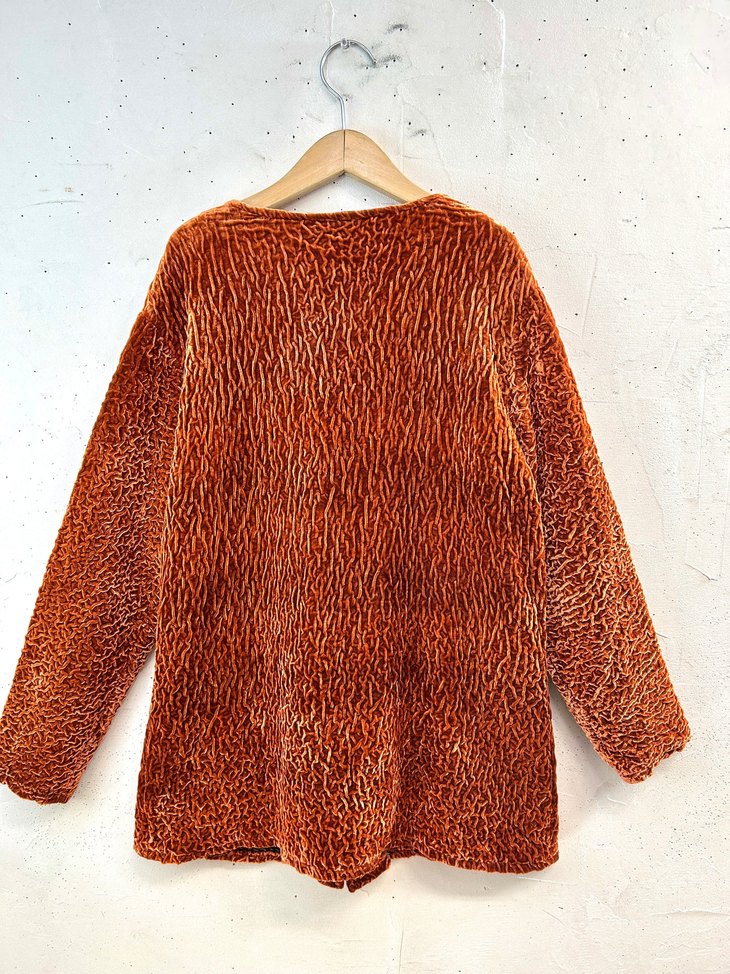 Vintage Velour Jacket [L31017]