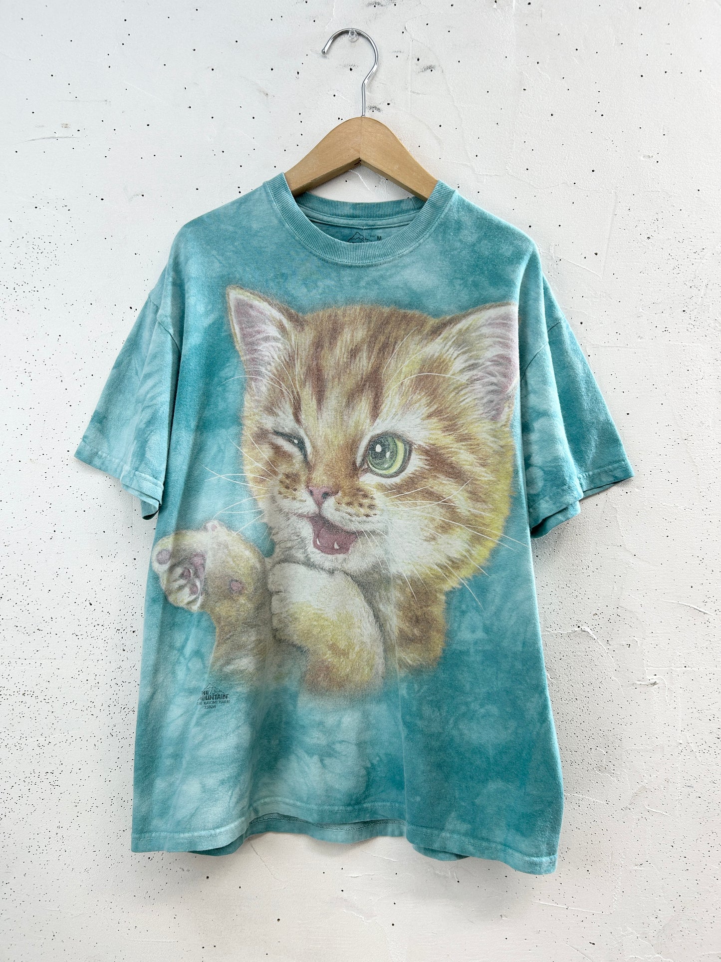 Vintage T-Shirt 〜The Mountain〜 [H33563]