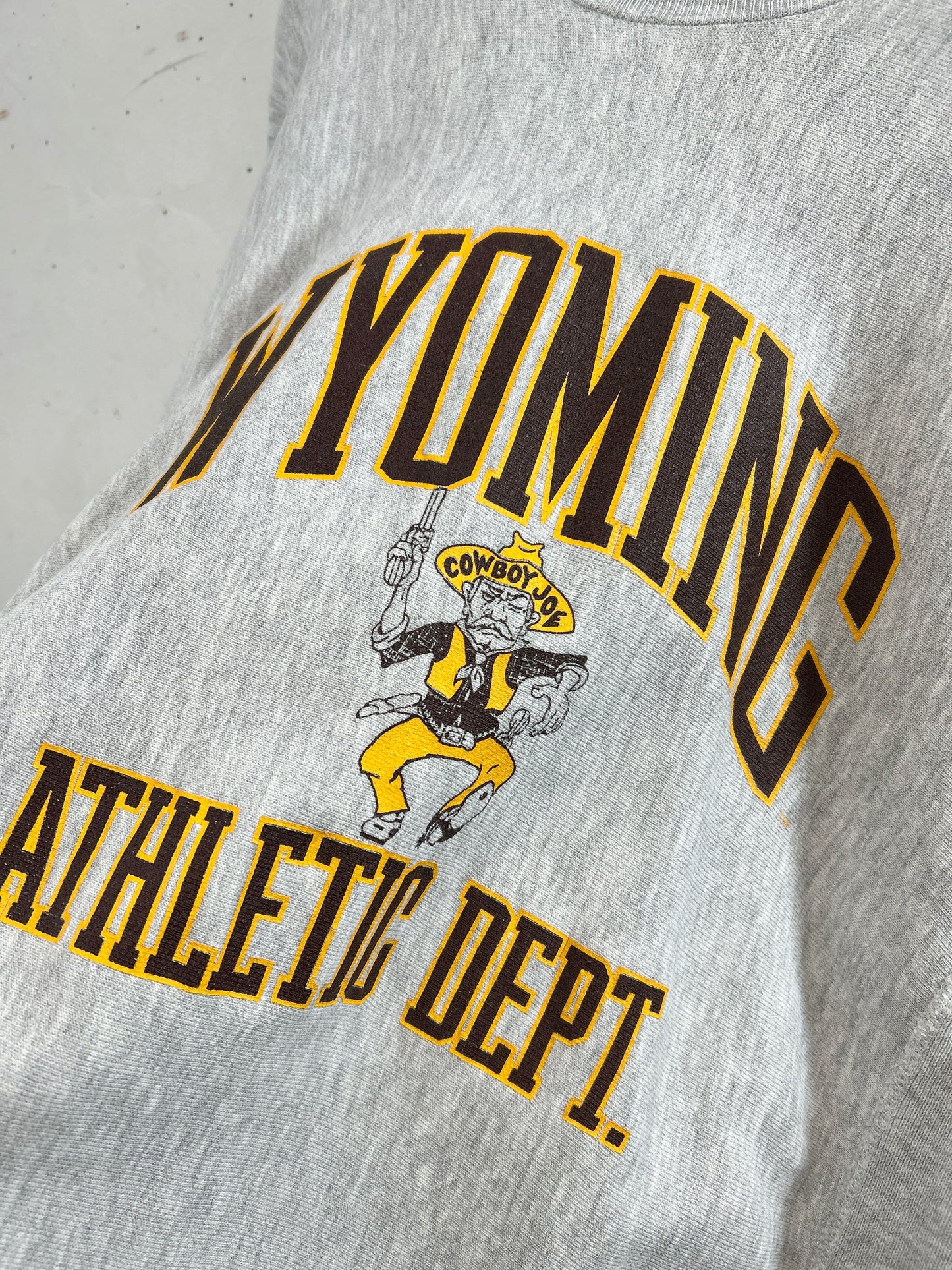 Vintage College Sweat 〜MADE IN USA Lee〜 [A31386]