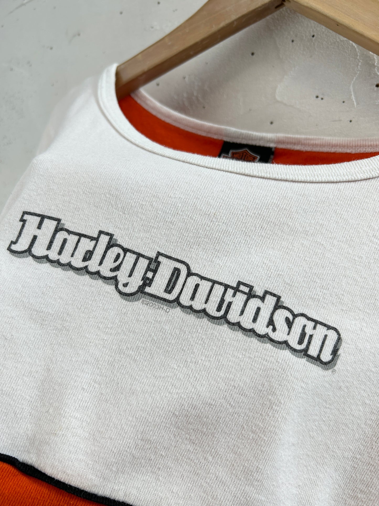Vintage T-Shirt 〜Harley Davidson〜 [G33026]
