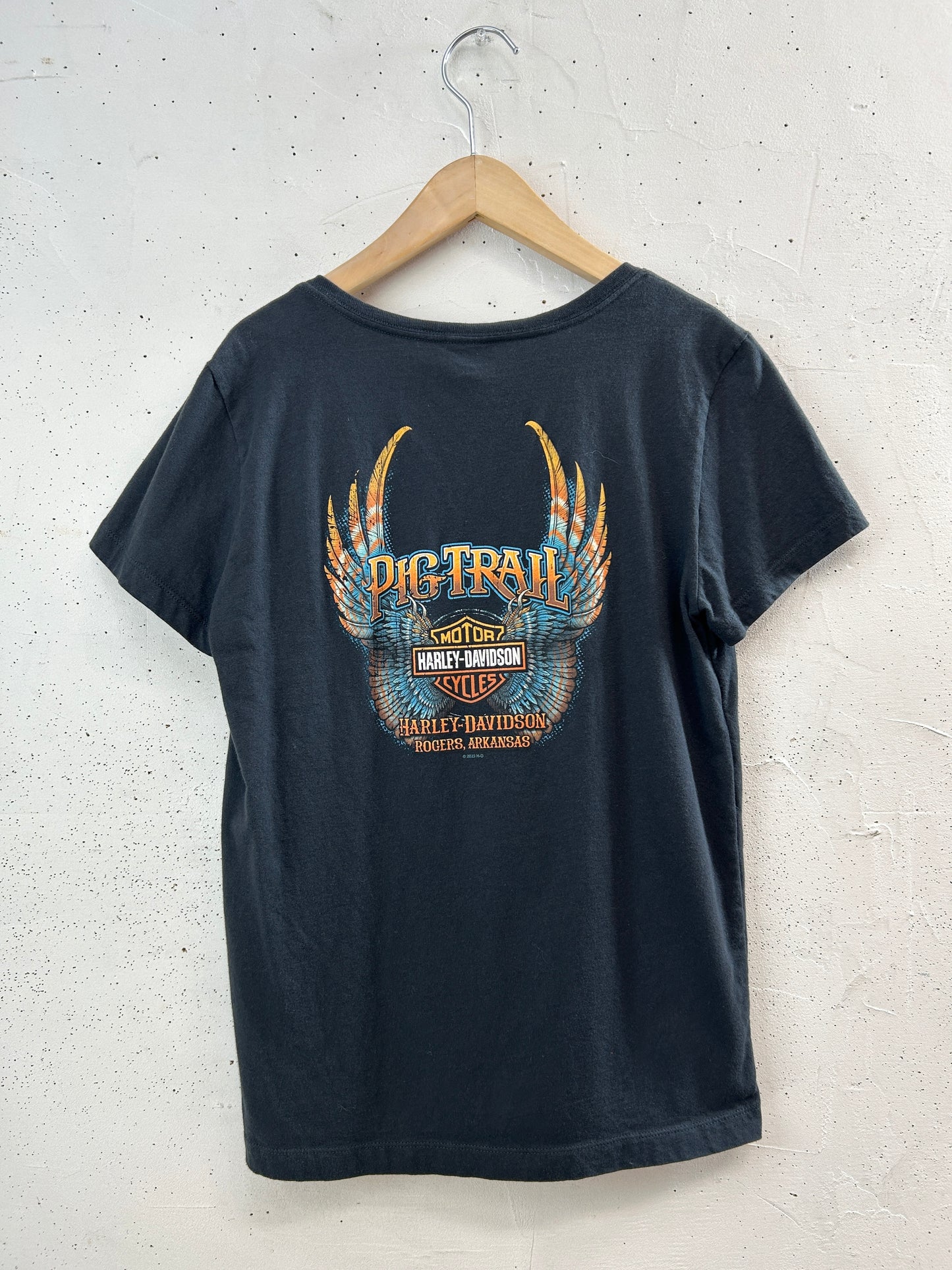 Vintage T-Shirt 〜Harley Davidson〜 [G33027]