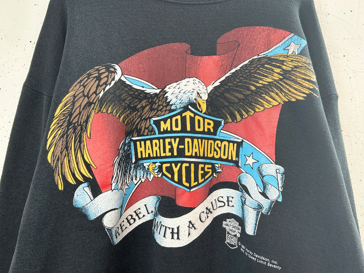 Vintage Sweat 〜Harley-Davidson〜  [J34088]