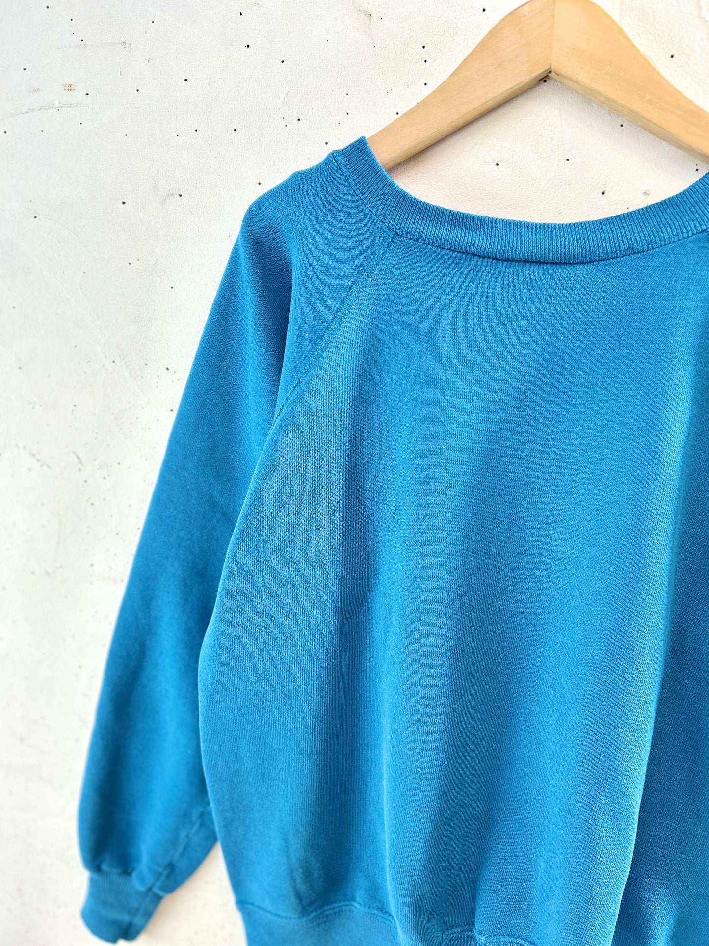 Vintage Sweat MADE IN USA [K30738]