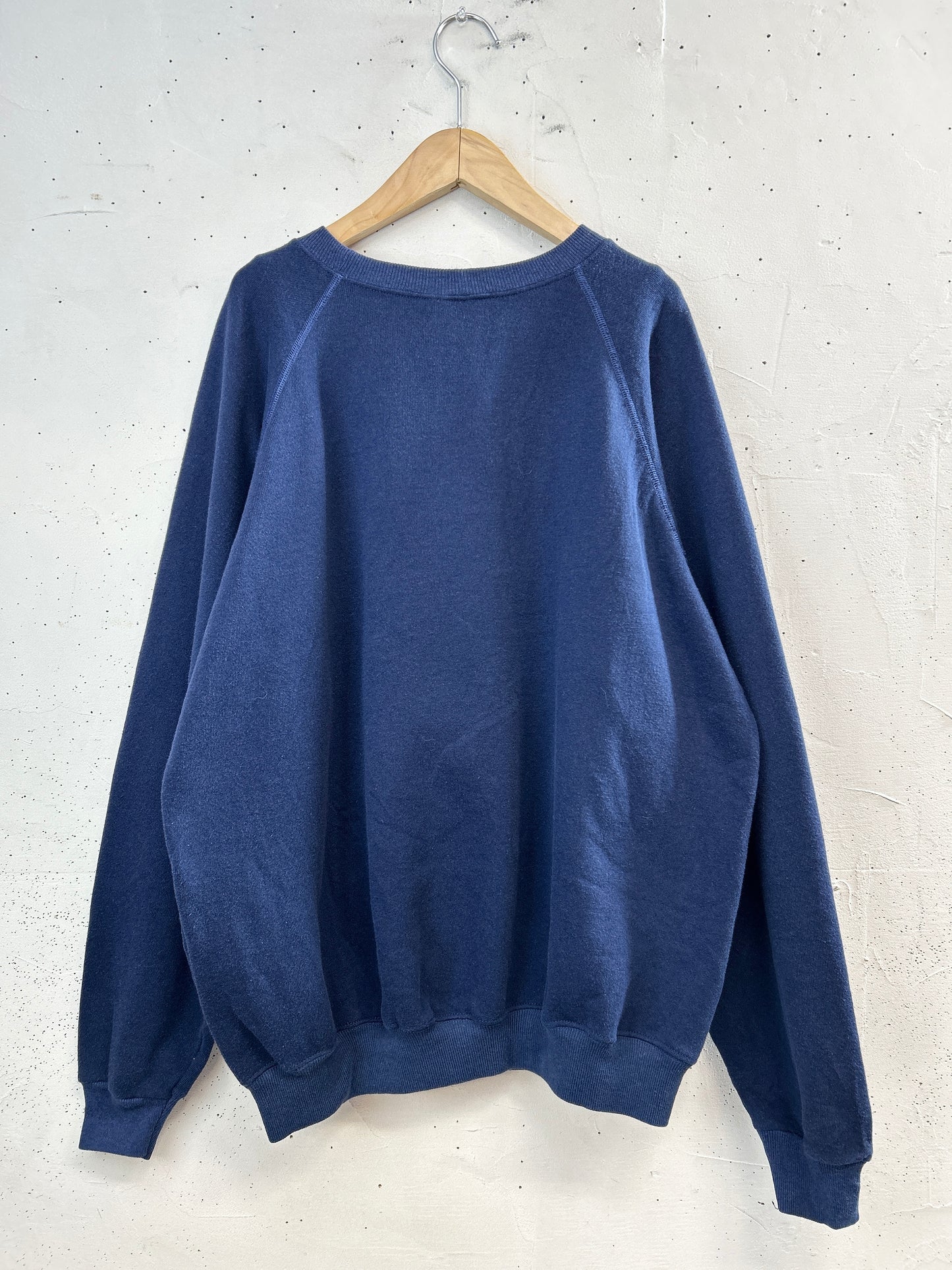 Vintage Sweat 〜'80s Hanes〜 [B31523]