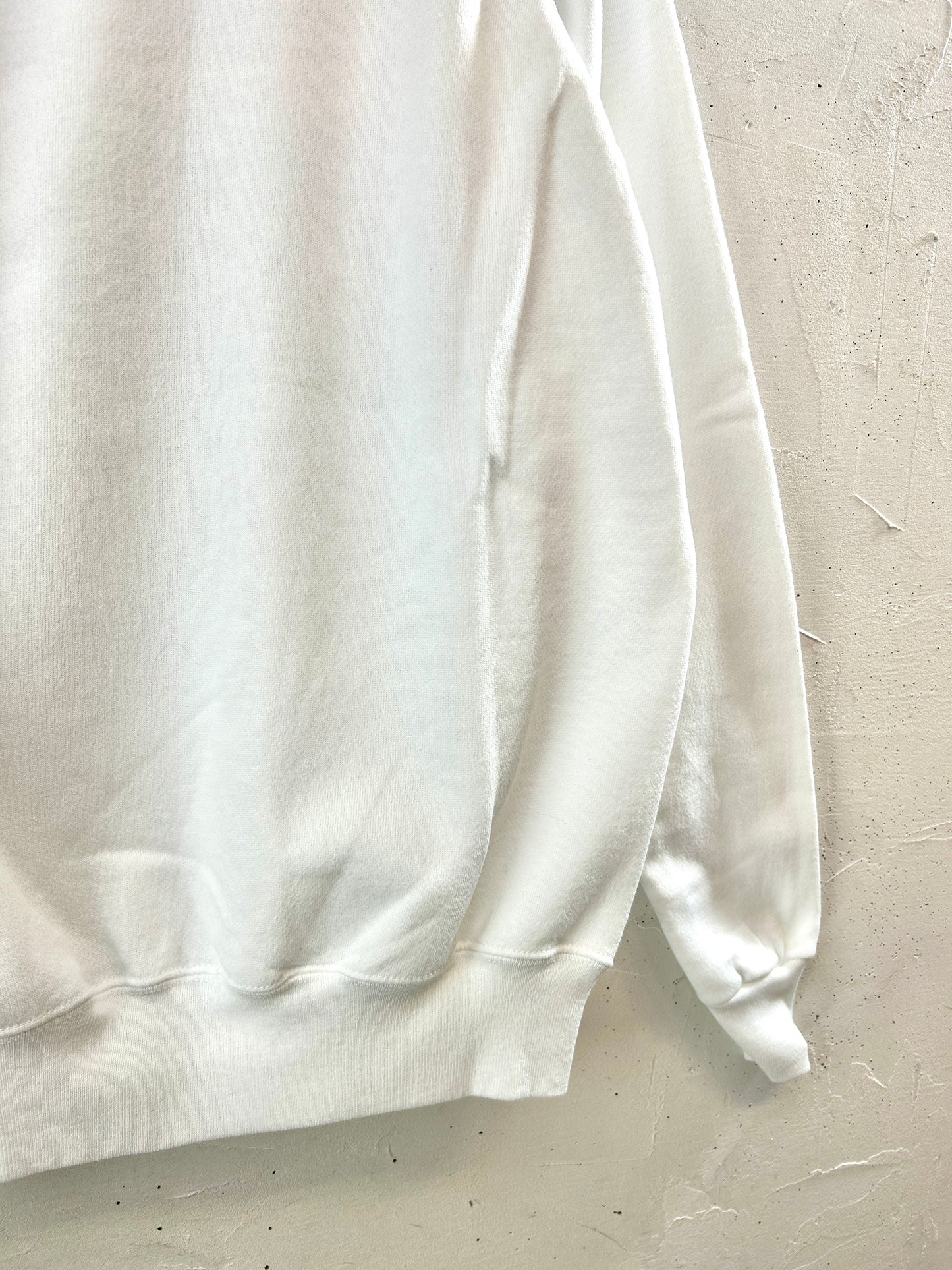 Vintage Sweat  〜Hanes〜 MADE IN USA [J30558]