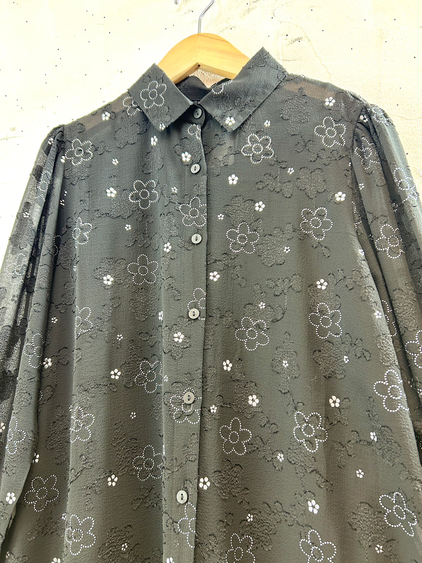 Vintage Sheer Blouse [J30511]