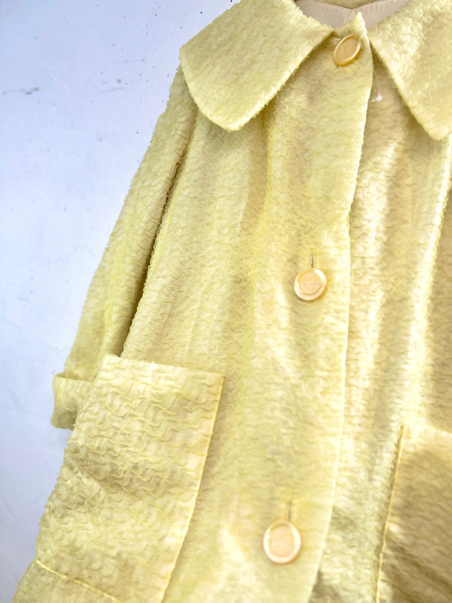 Vintage Sheer Gown [A31253]
