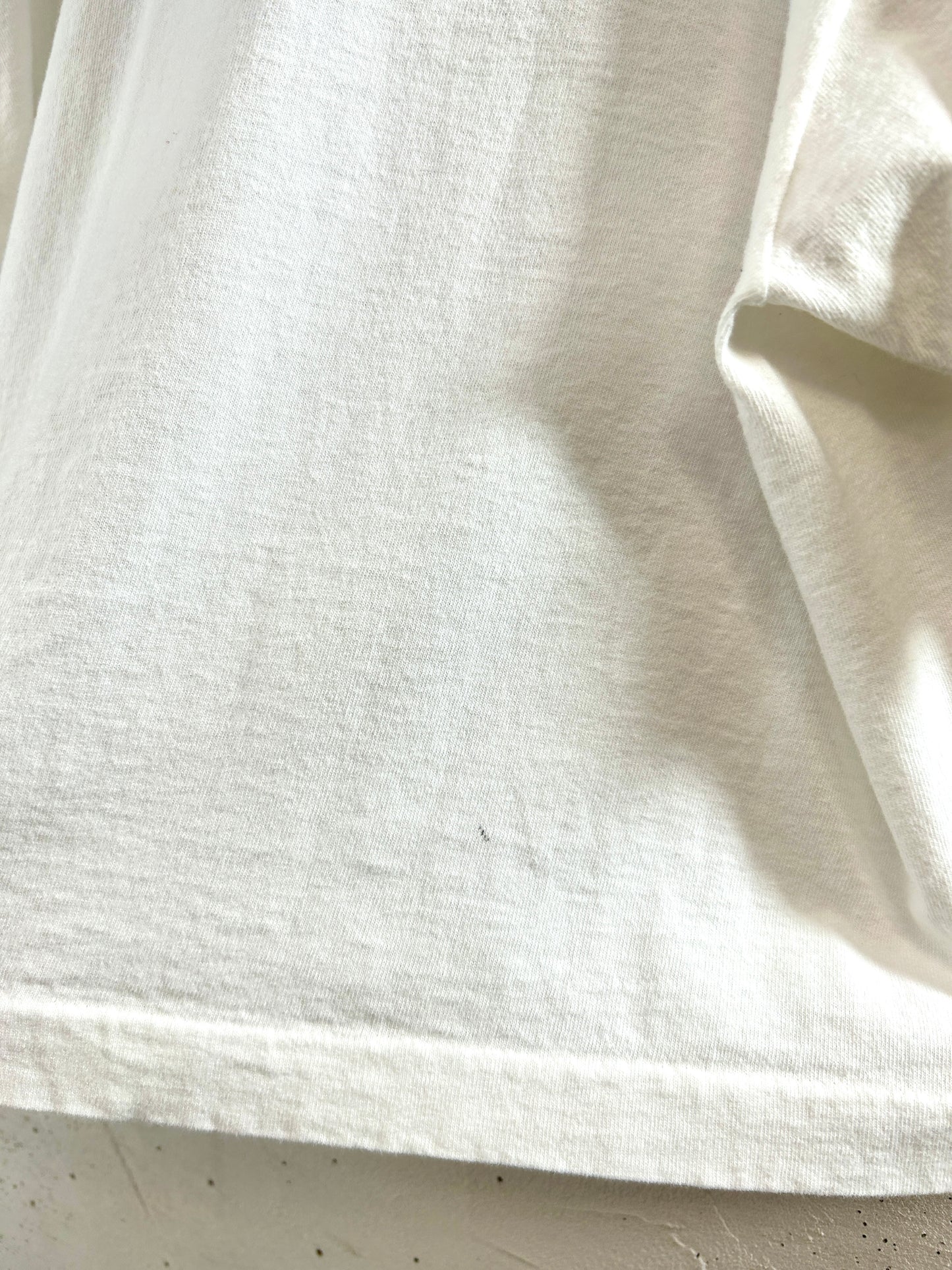 Vintage T-Shirt MADE IN USA 〜BEST FRUIT OF THE LOOM〜 [F32657]