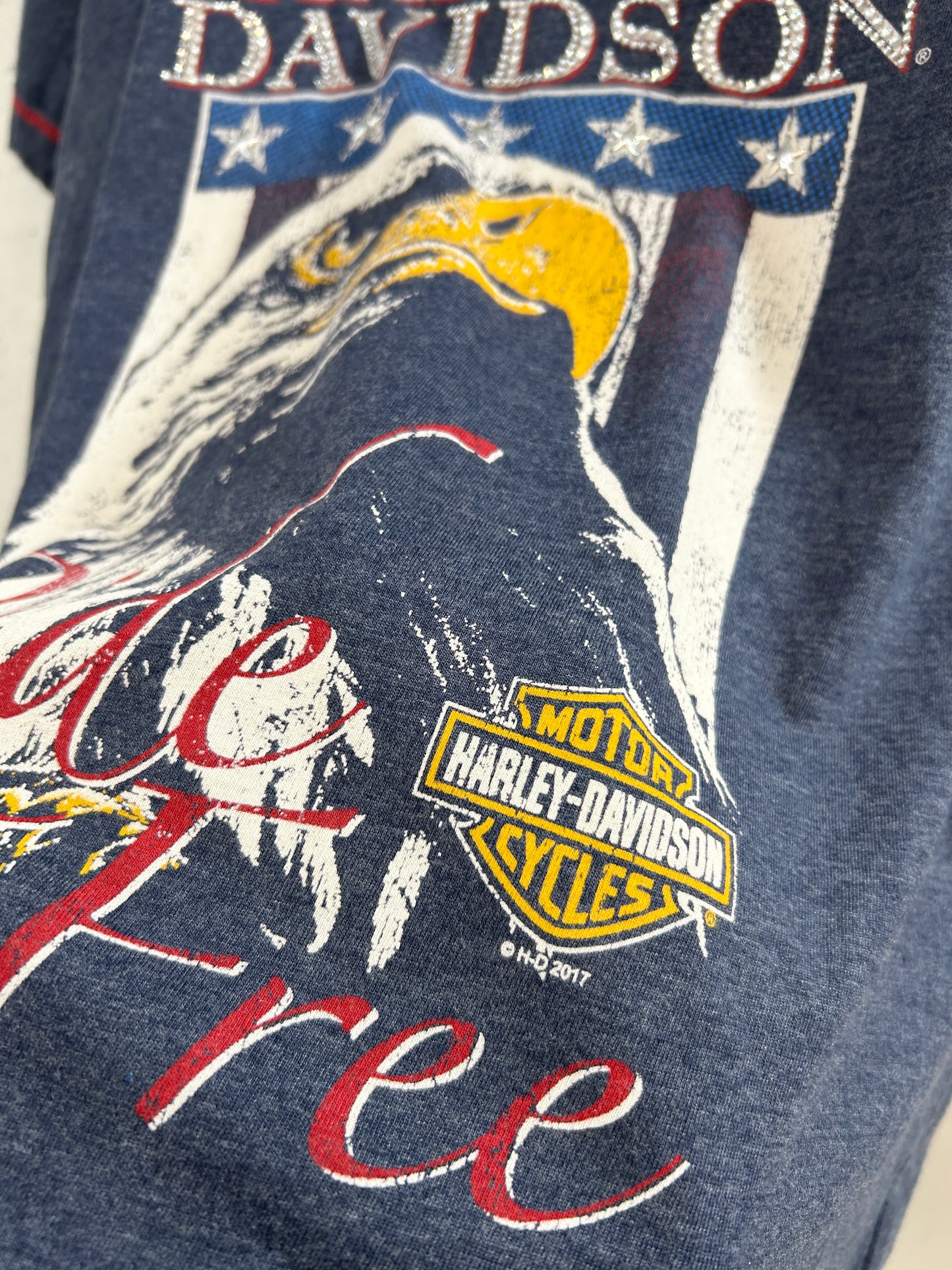 Vintage T-Shirt 〜Harley Davidson〜 [H33373]