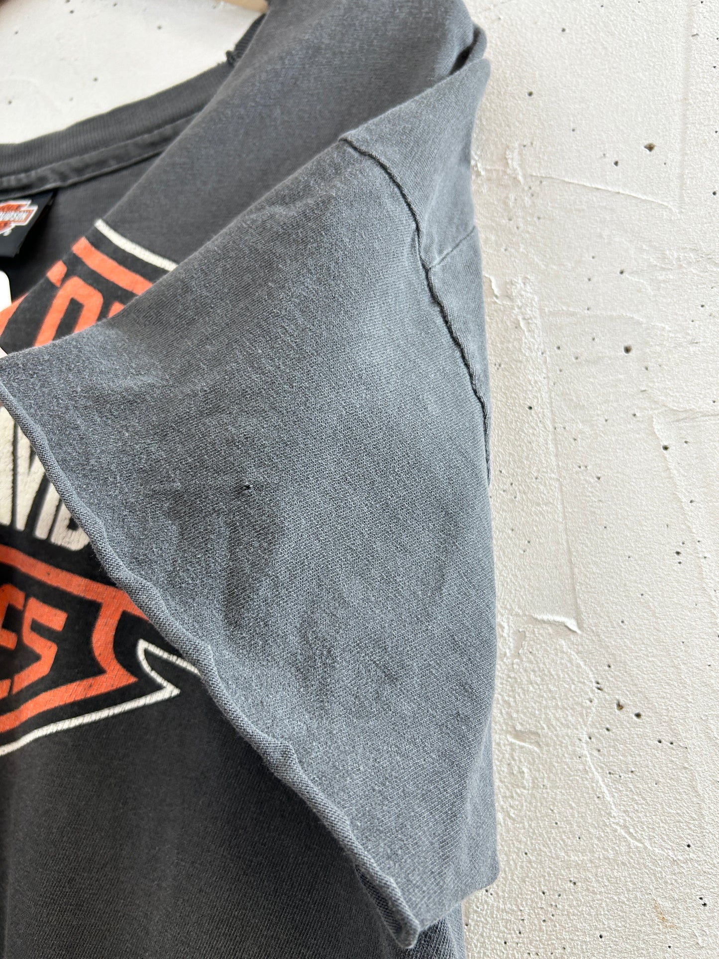 Vintage T-Shirt 〜Harley Davidson〜 [H33523]