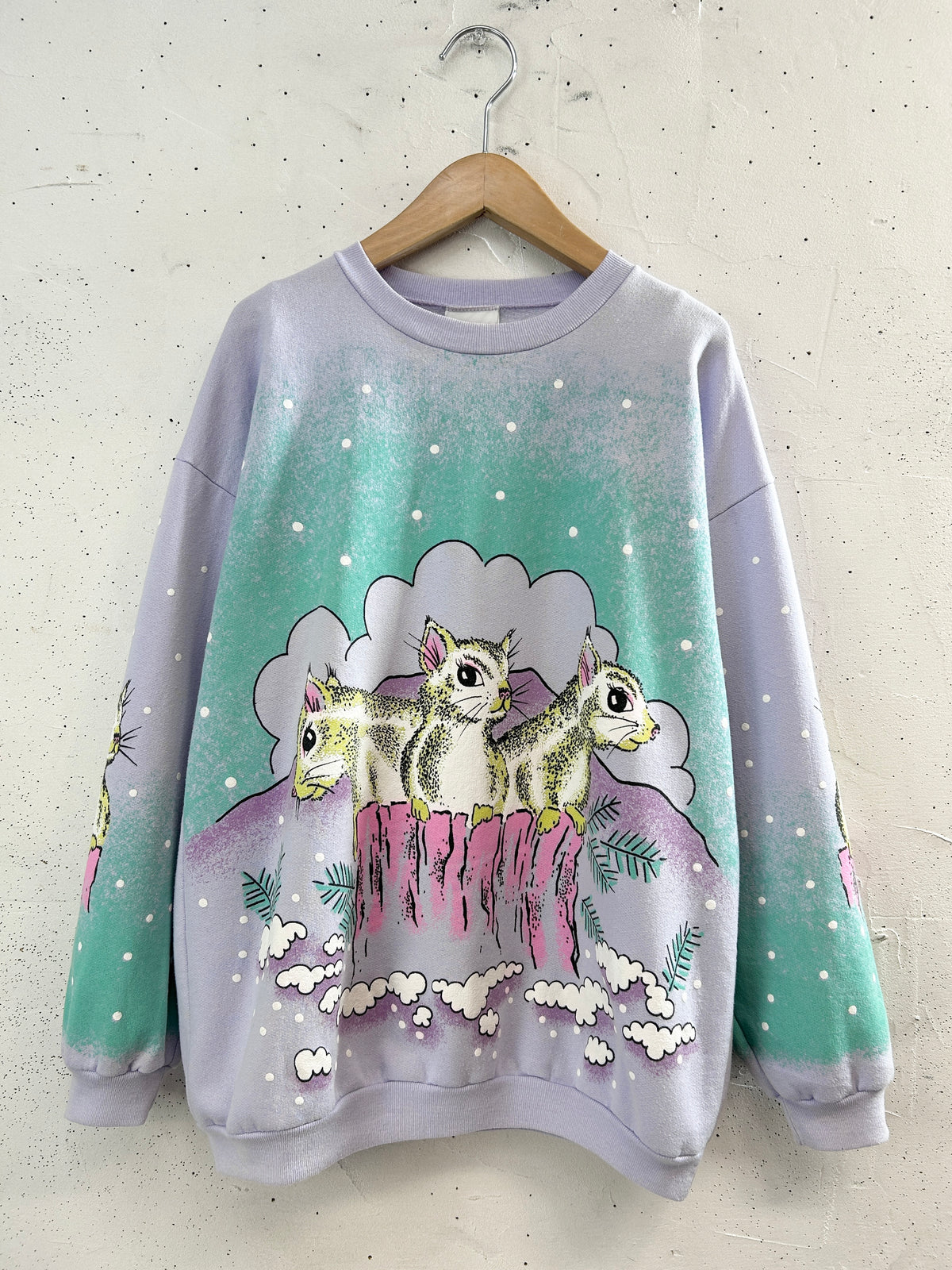 Vintage Sweat 〜MADE IN CANADA〜 [J34177]