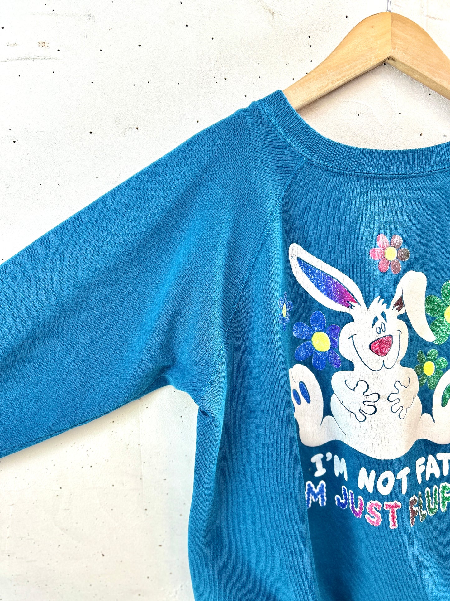 Vintage Sweat MADE IN USA [K30738]