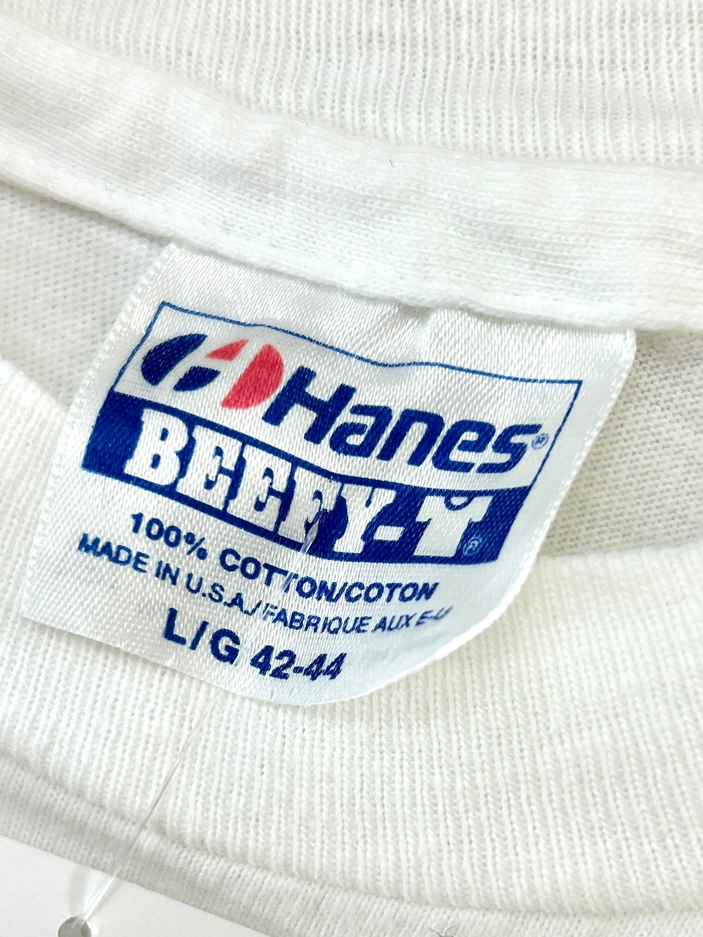 Vintage T-shirt 〜Hanes〜 [G33096]