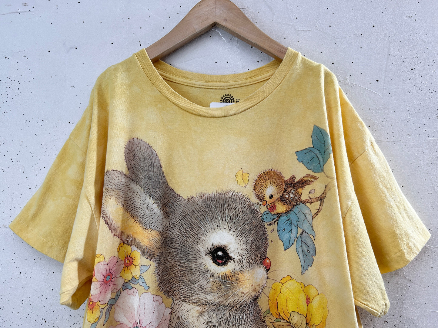 Vintage T-Shirt 〜The Mountain〜 [G32906]
