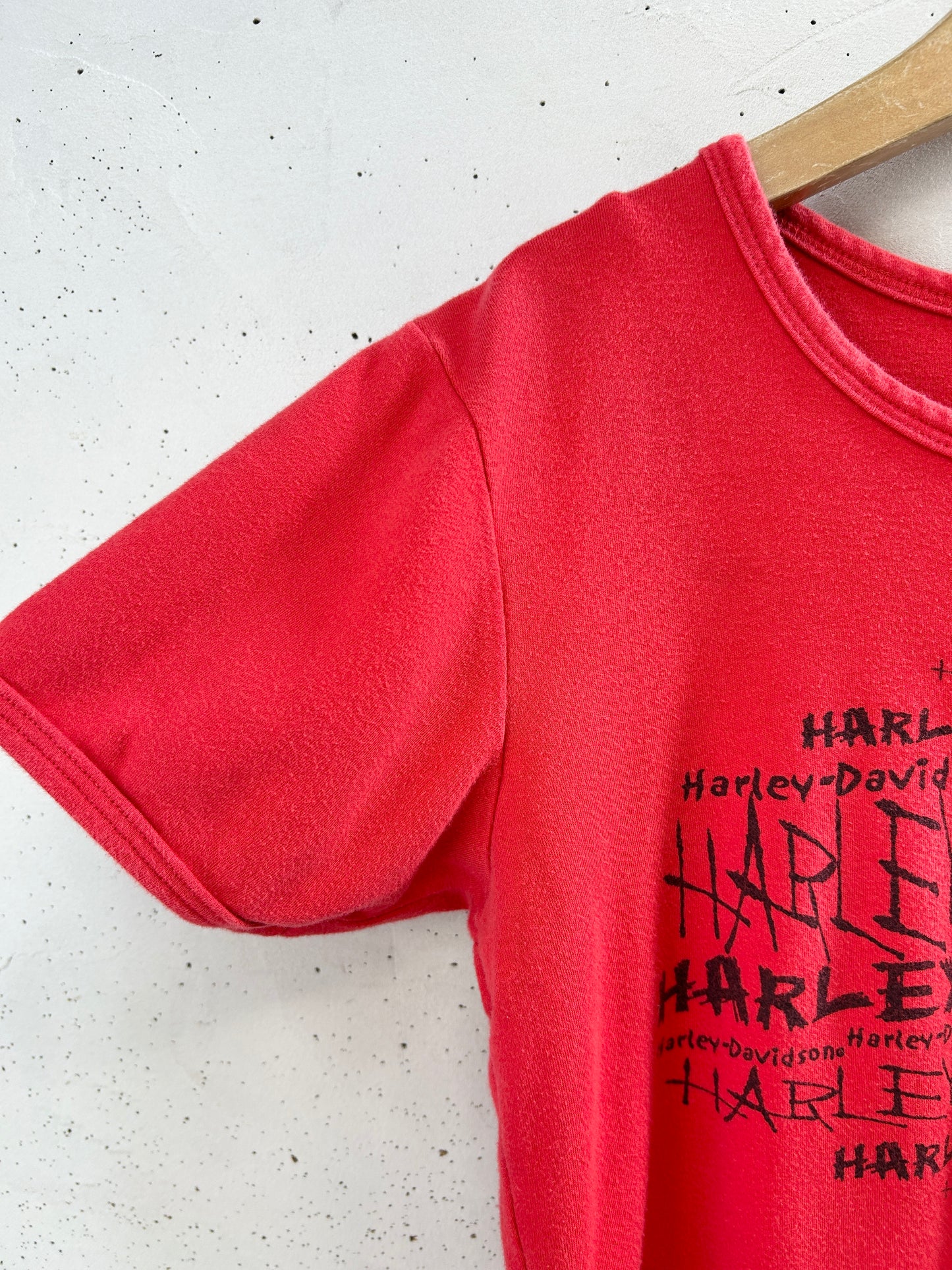 Vintage T-Shirt 〜Harley Davidson〜 [F32588]