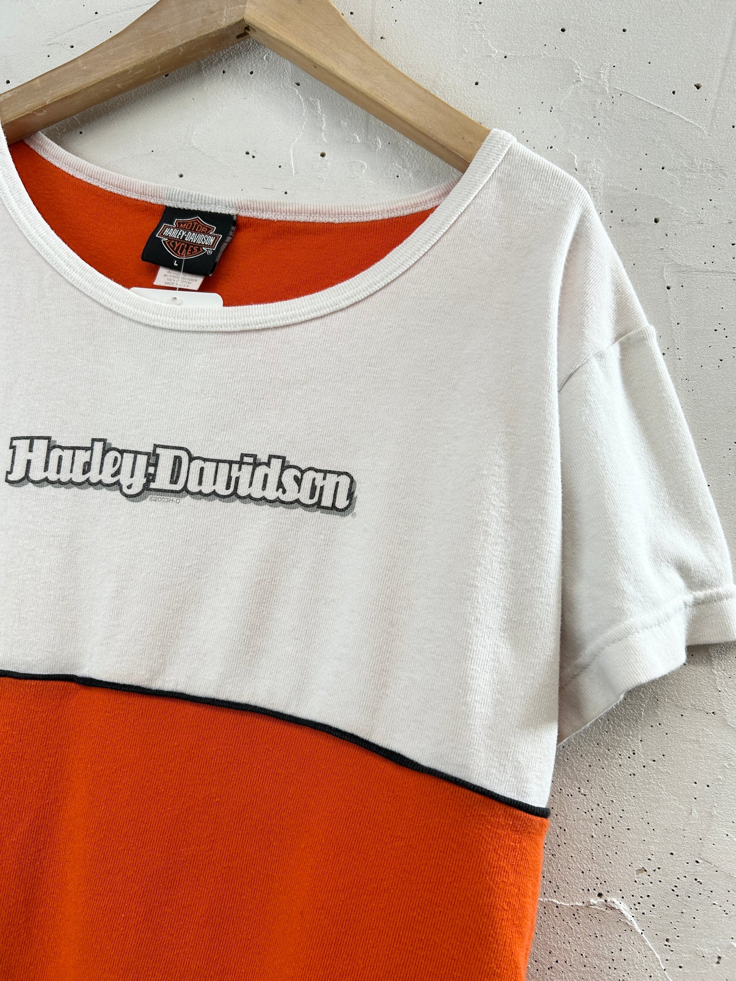 Vintage T-Shirt 〜Harley Davidson〜 [G33026]