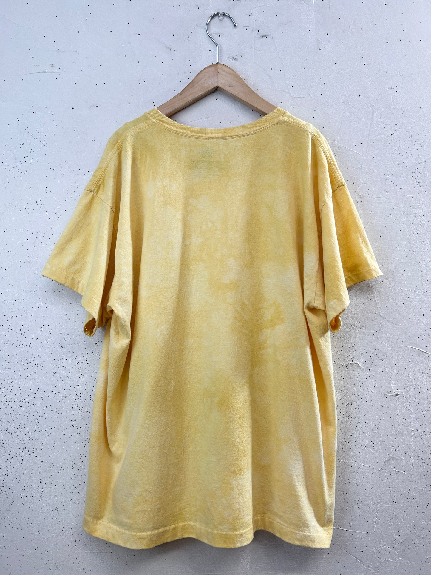 Vintage T-Shirt 〜The Mountain〜 [G32906]
