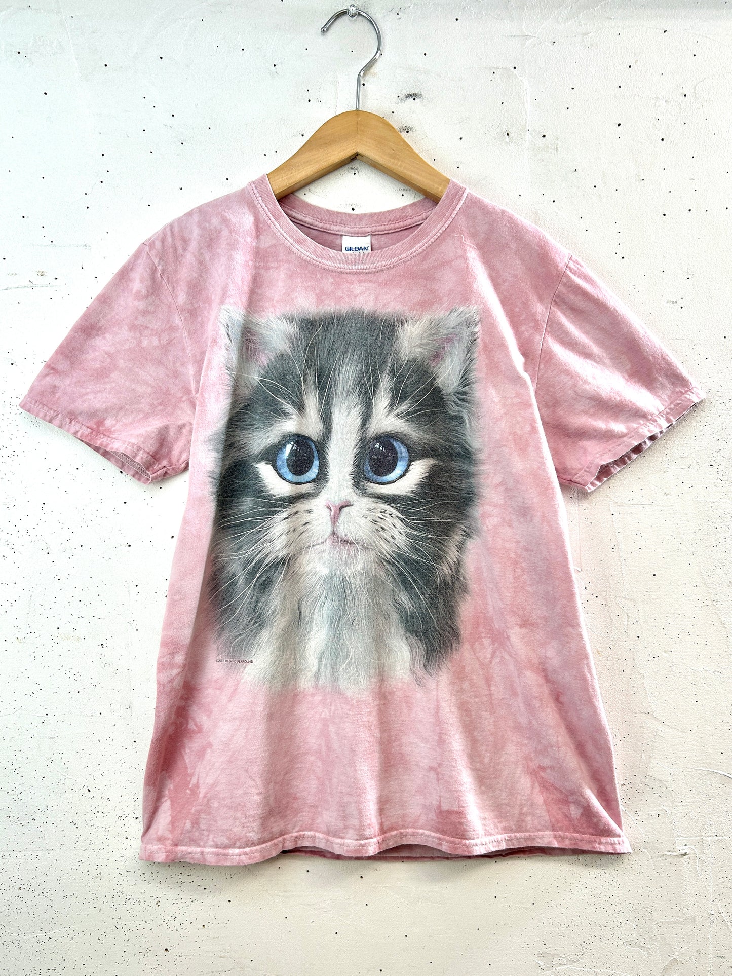 Vintage T-Shirt   [G33081]