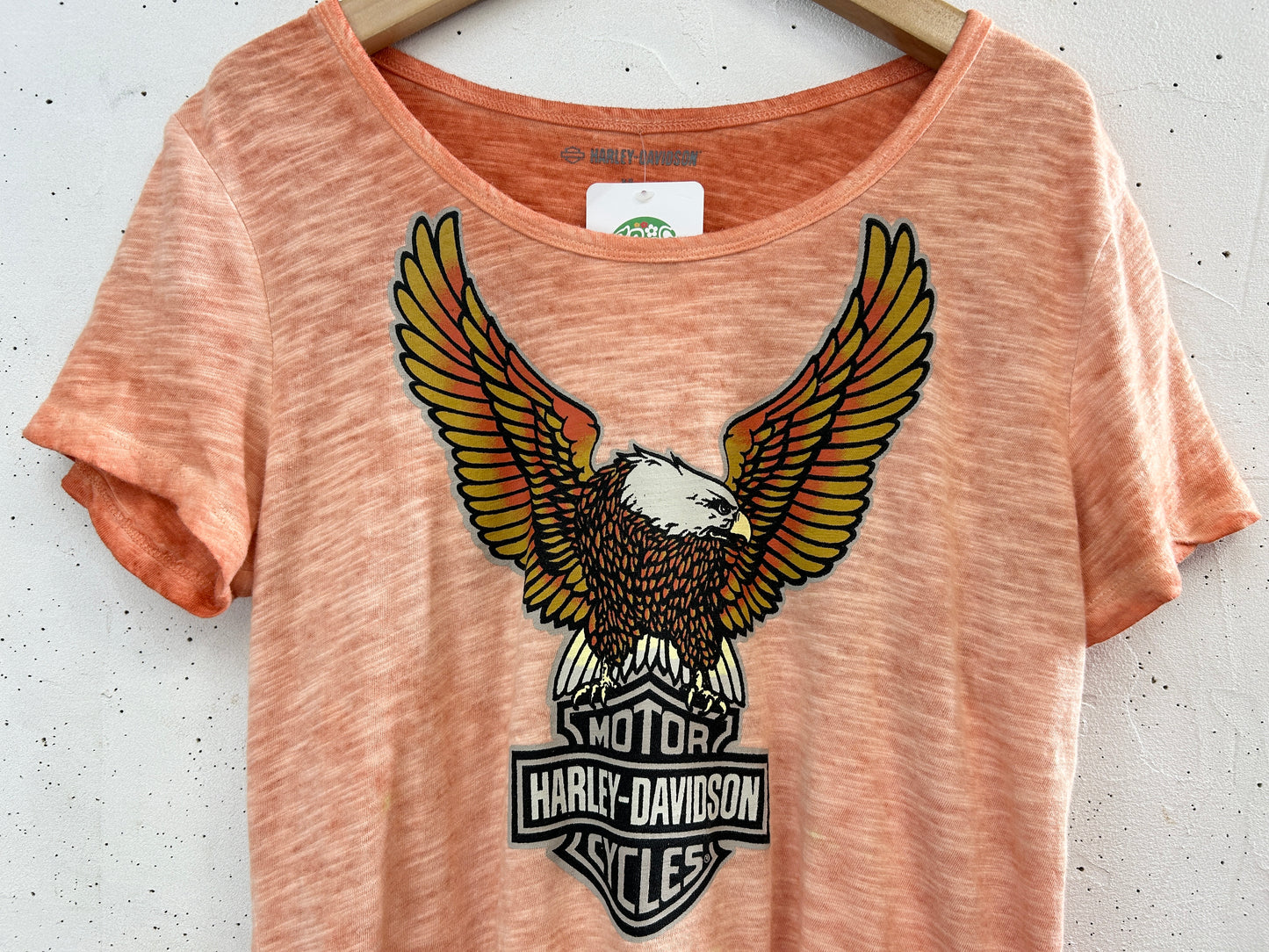 Vintage T-Shirt 〜Harley Davidson〜 [H33522]