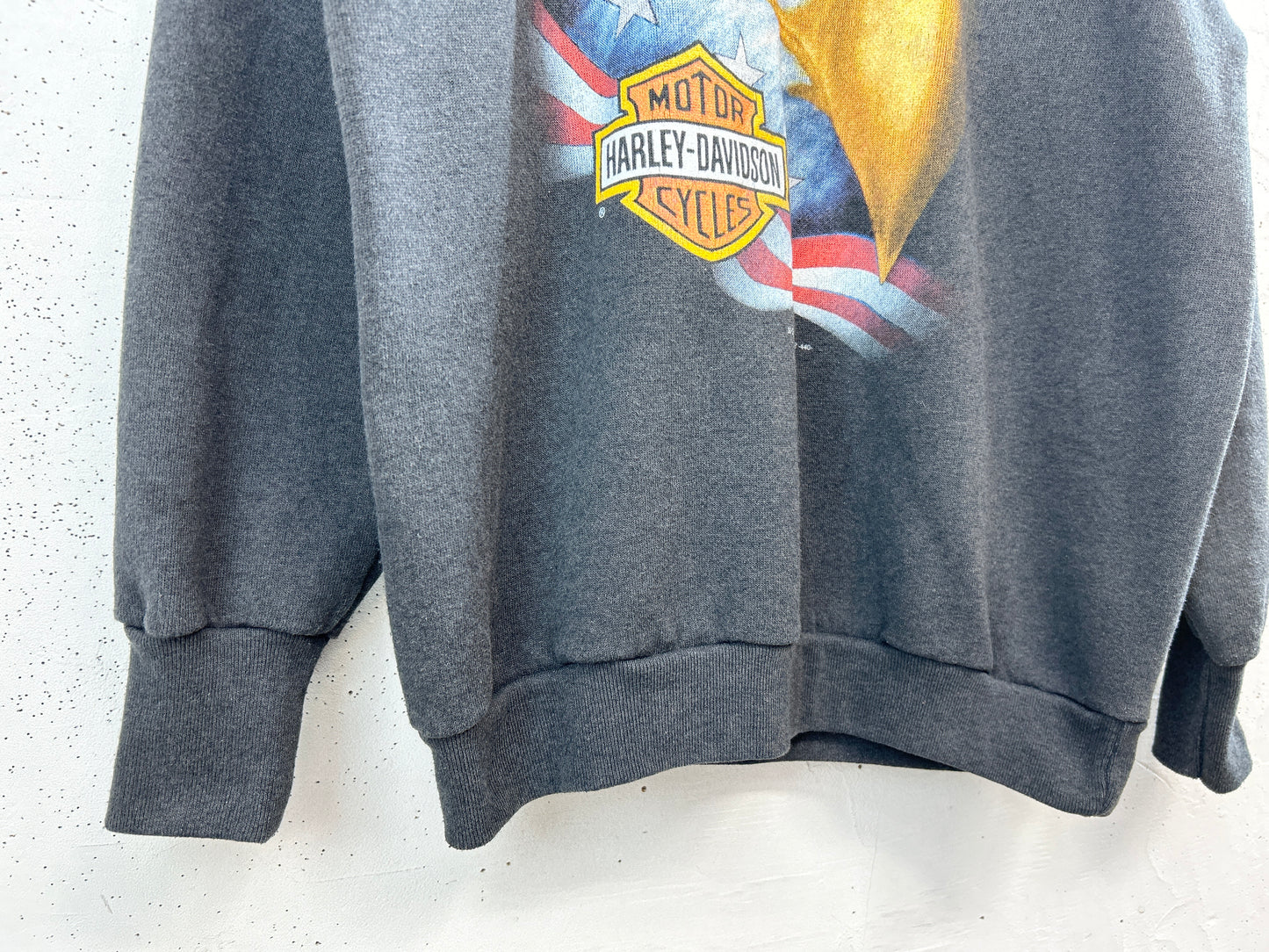 Vintage Sweat 〜3D EMBLEM Harley Davidson〜 [E32444]