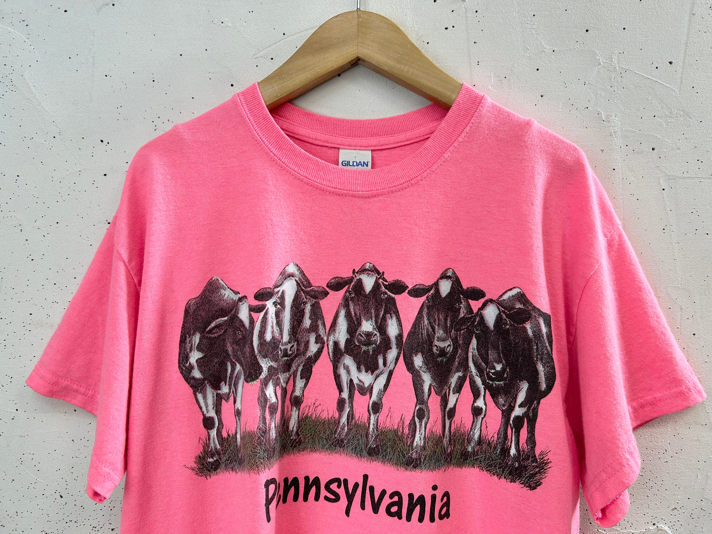 Vintage T-Shirt [H33432]