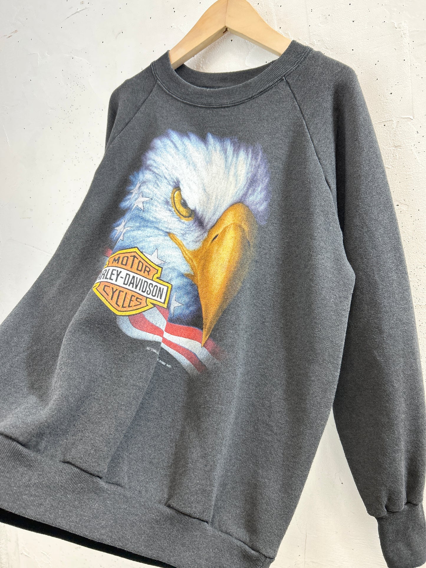 Vintage Sweat 〜3D EMBLEM Harley Davidson〜 [E32444]