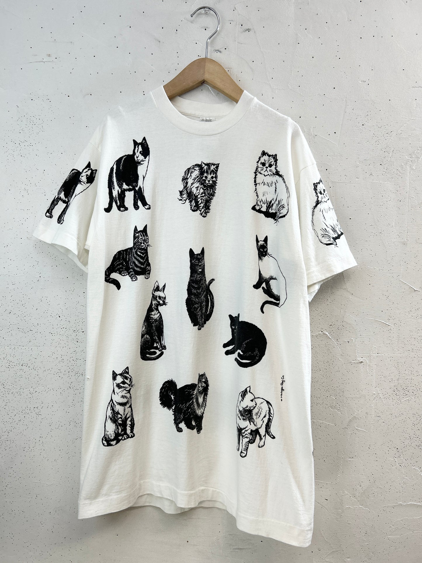 Vintage T Shirt 〜MICHIGAN RAG〜 MADE IN USA [H33614]