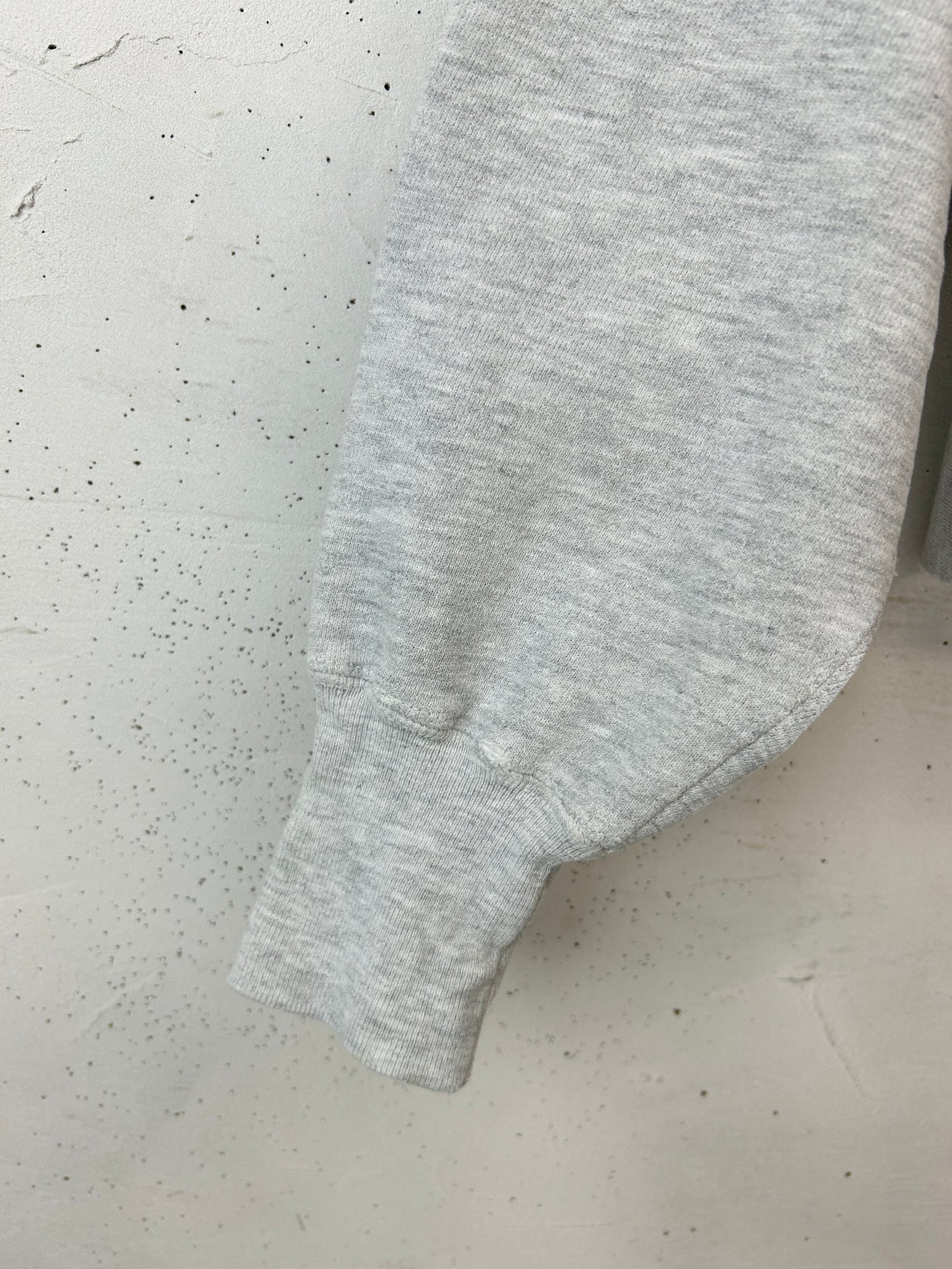 Vintage Sweat '90s Champion Reverseweave [L30987]