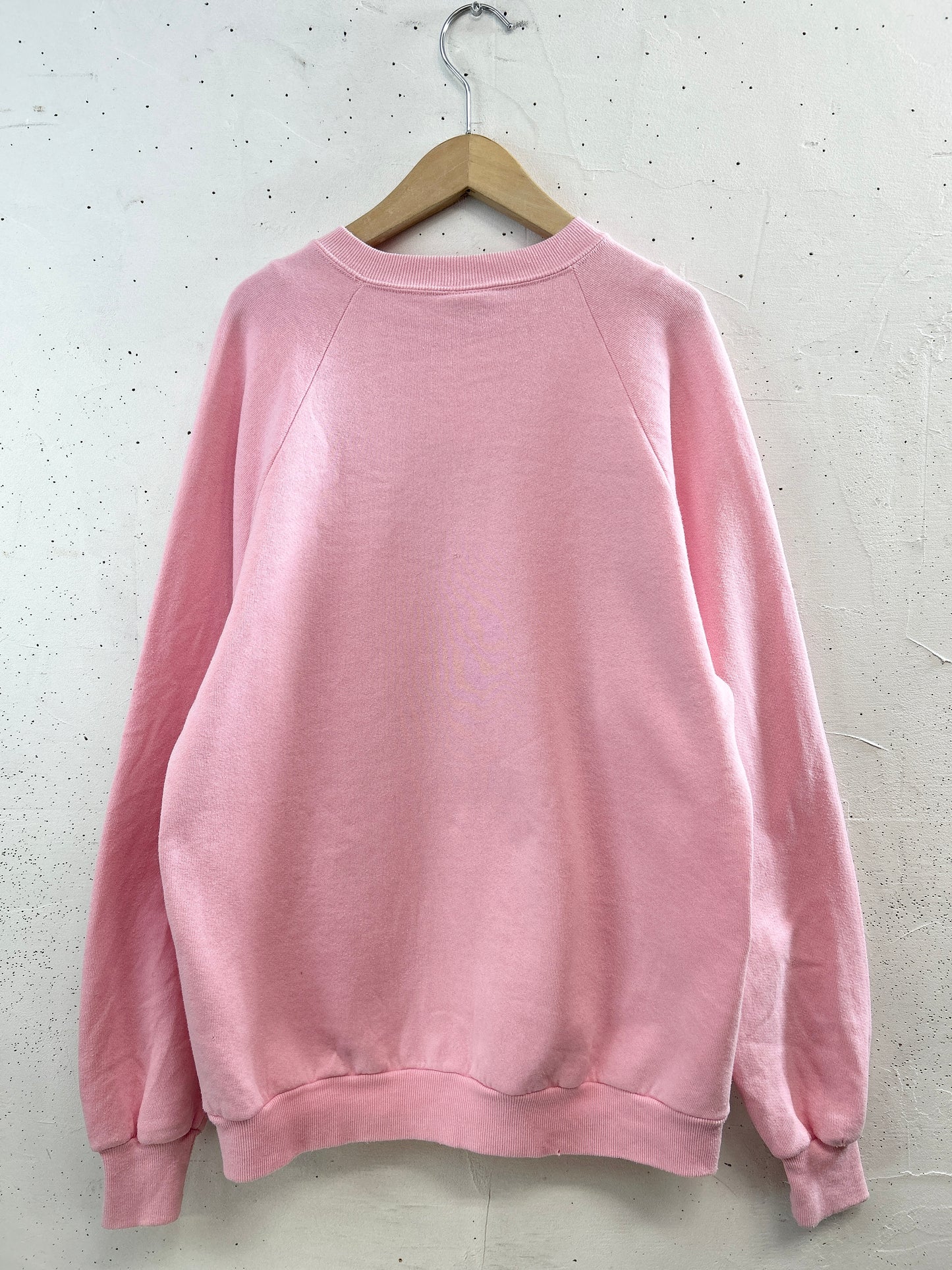 Vintage Sweat 〜MADE IN USA〜 [B31477]