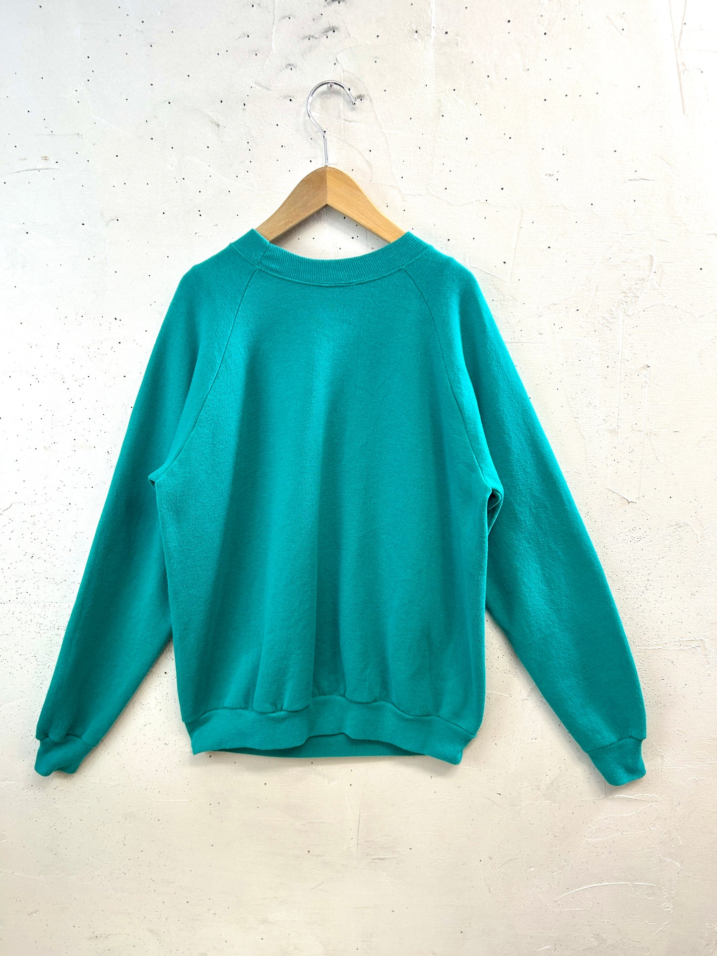 Vintage Sweat Shirt [B31667]