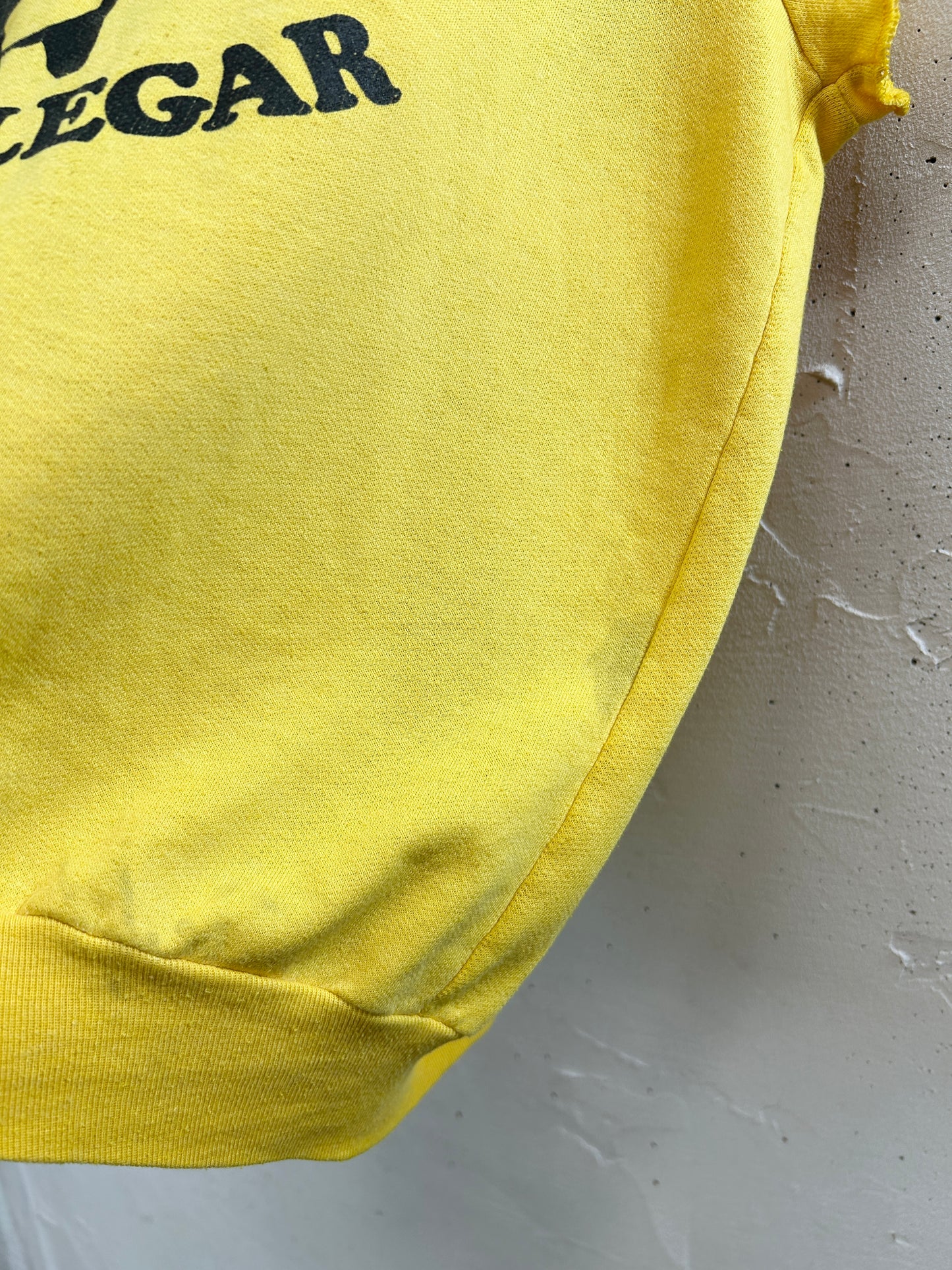 Vintage Cut Off Sweat [G33223]