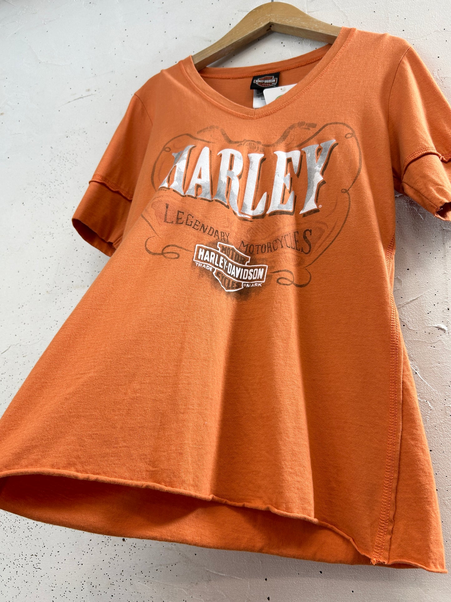 Vintage T-Shirt 〜Harley Davidson〜 [G33521]