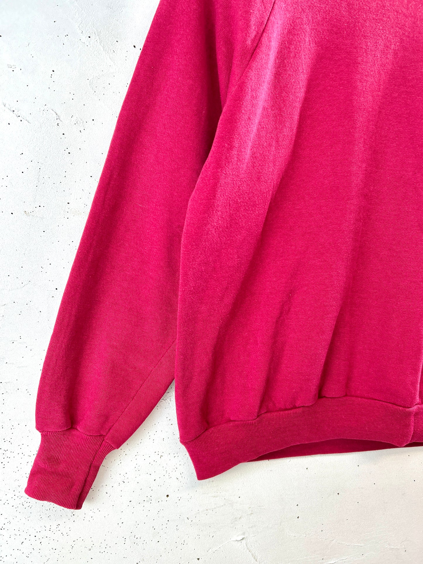 Vintage  Sweat 〜Healthknll〜 MADE IN USA [K30918]