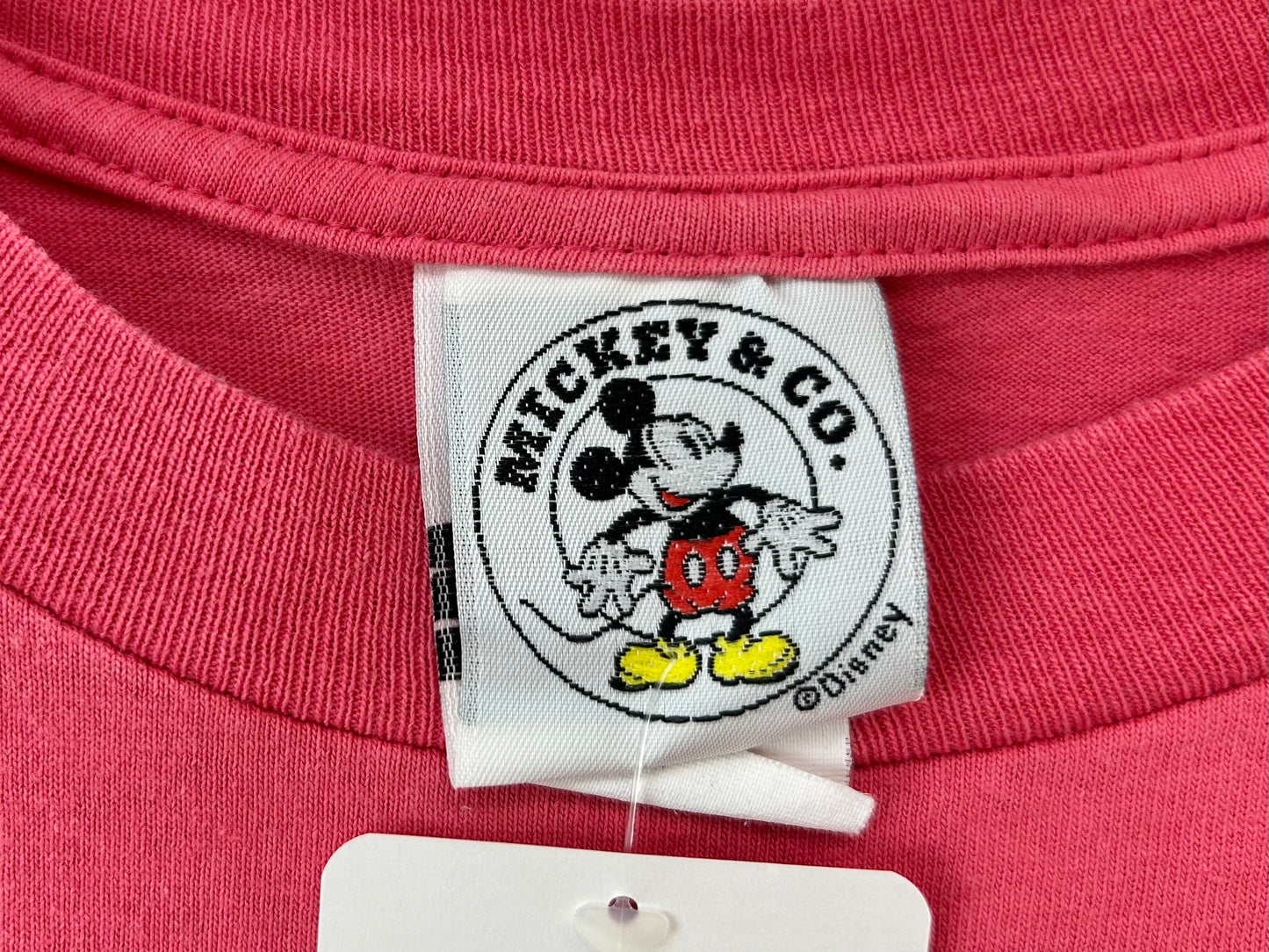 Vintage Disney T-Shirt 〜MICKEY & CO.〜 [G30705]