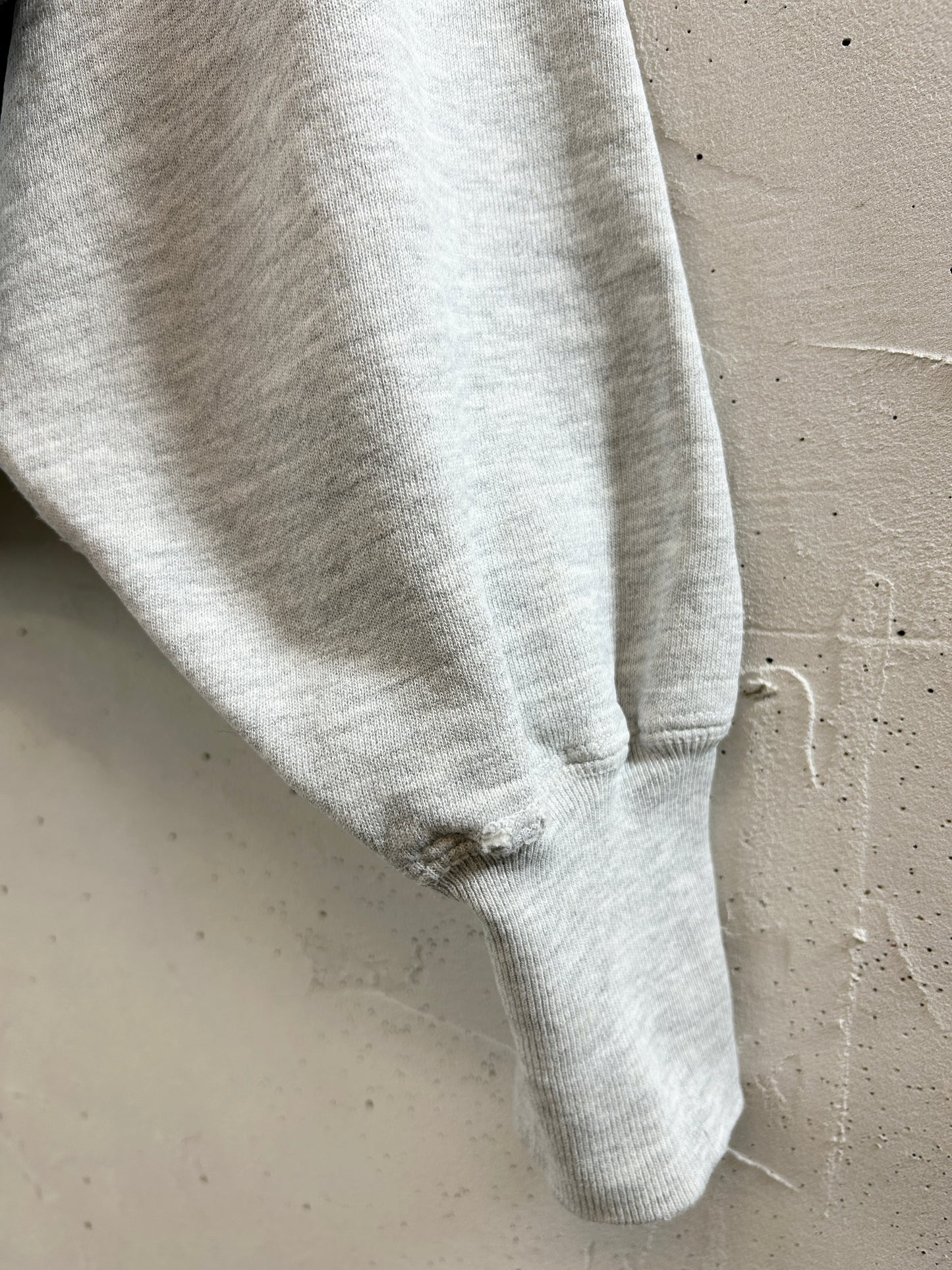 Vintage Sweat '90s Champion Reverseweave [L30987]