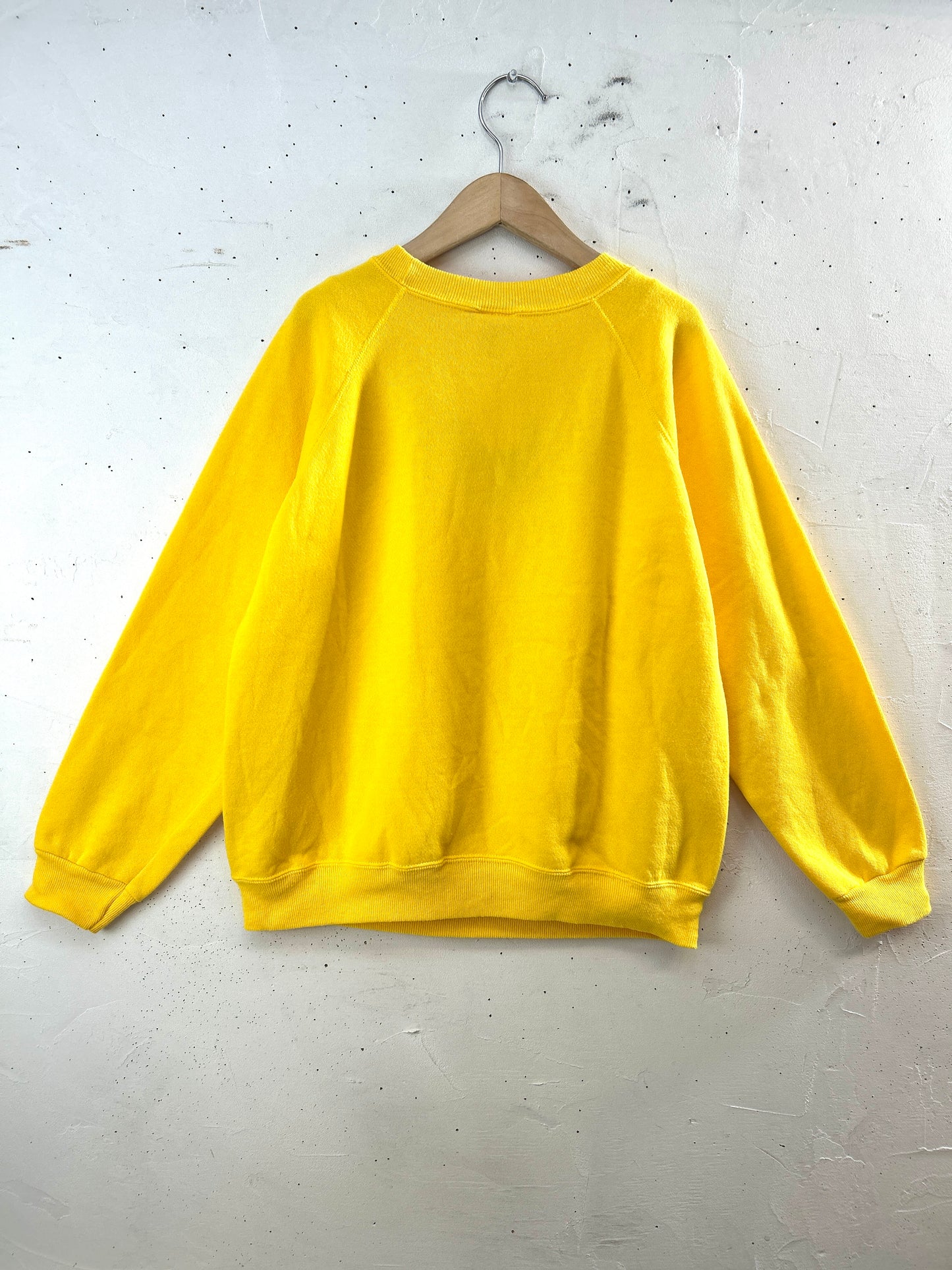 Vintage Custom Sweat　MADE IN USA 〜Hanes Her Way〜[J30529]